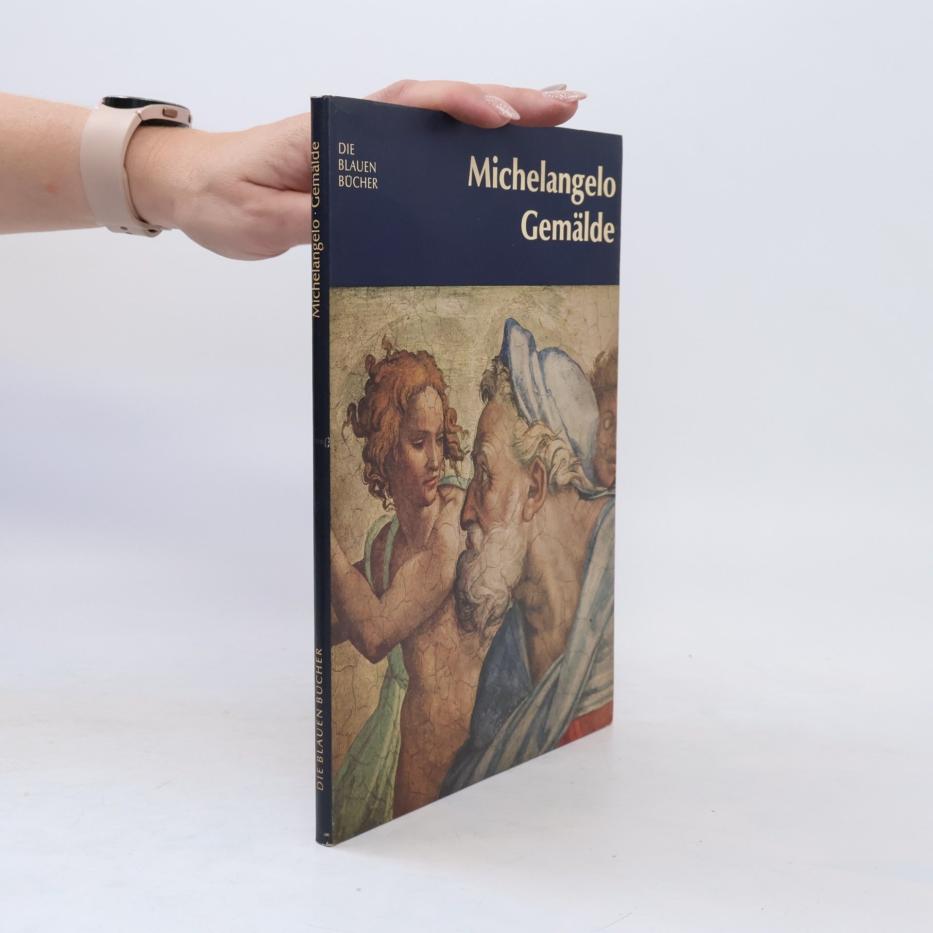 Collectif d'auteurs Michelangelo. Gemälde