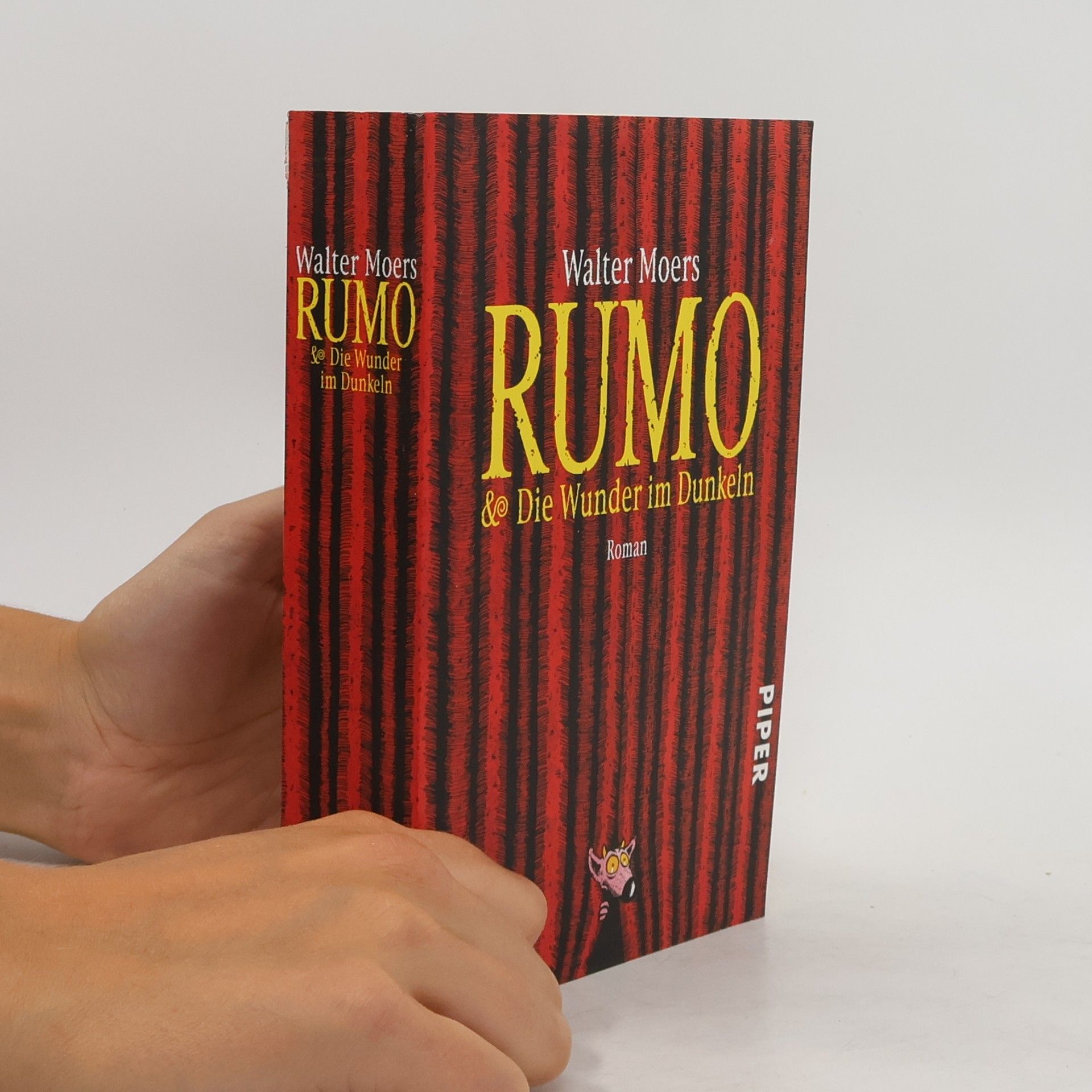 Walter Moers Rumo & Die Wunder im Dunkeln