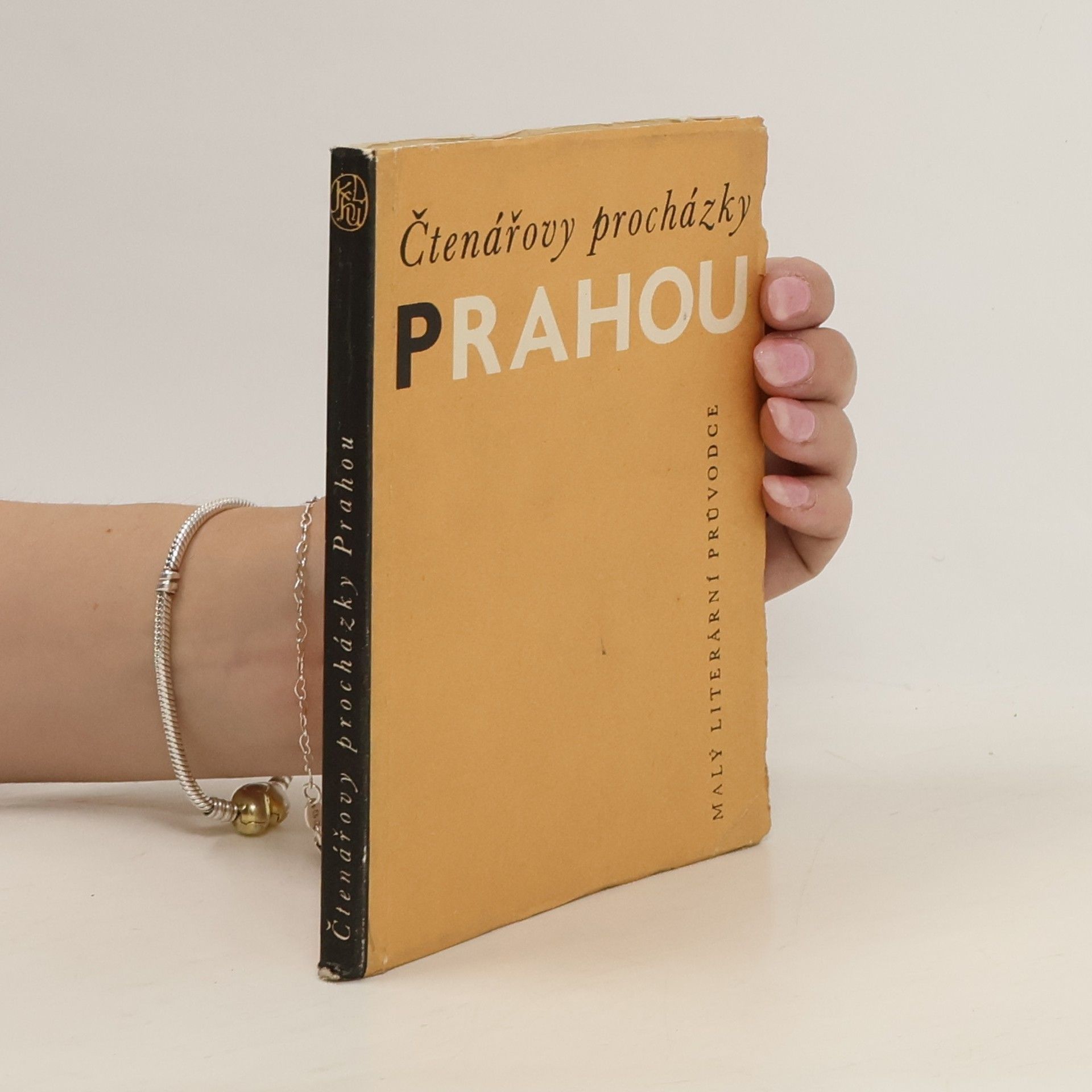 Rudolf Lužík Čtenářovy procházky Prahou