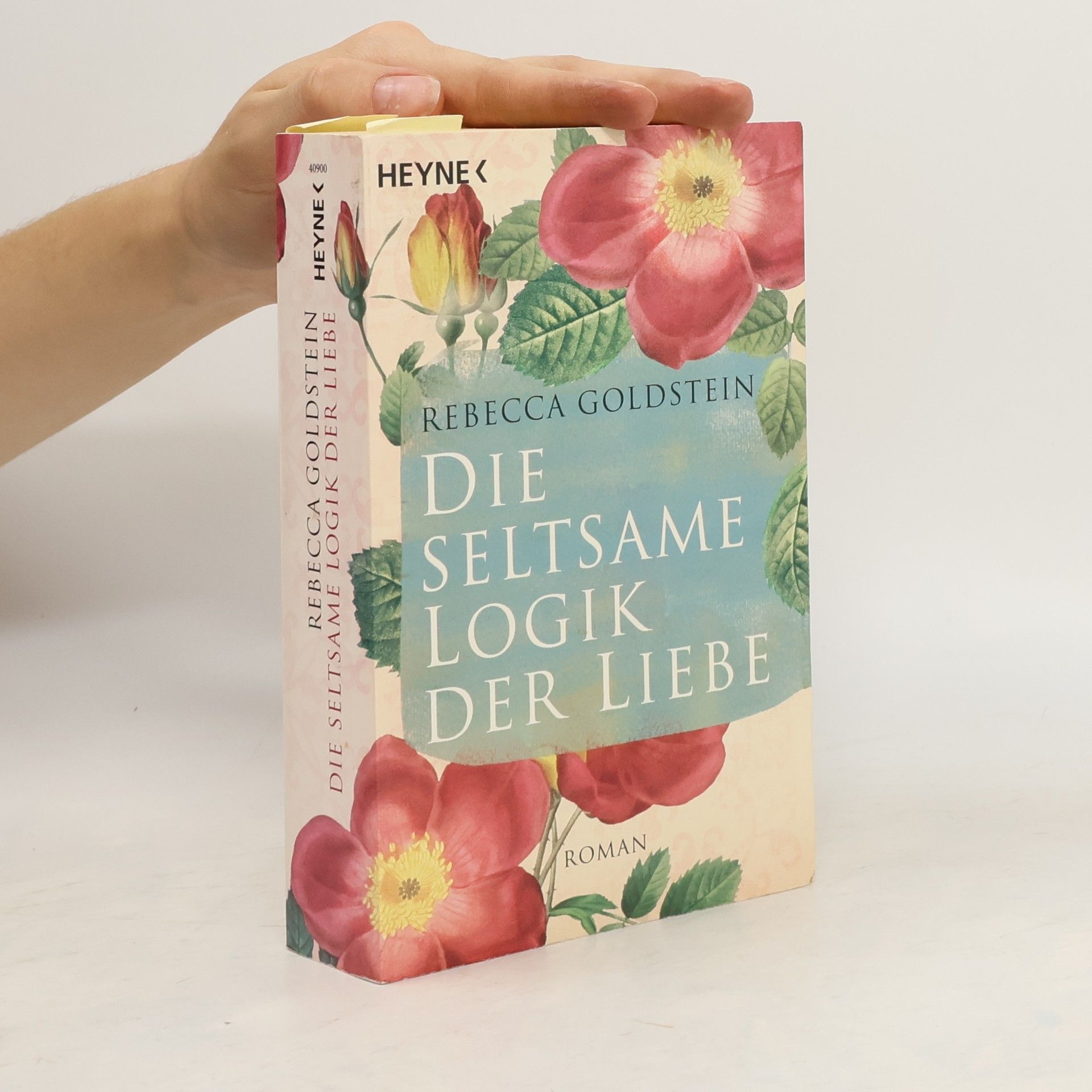 Rebecca Goldstein Die seltsame Logik der Liebe