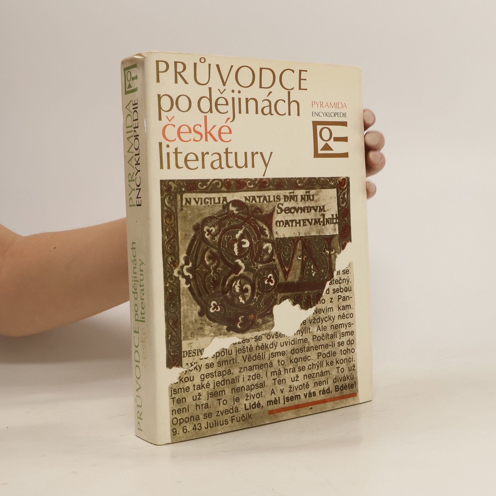 Zdeňka Tichá Průvodce po dějinách české literatury