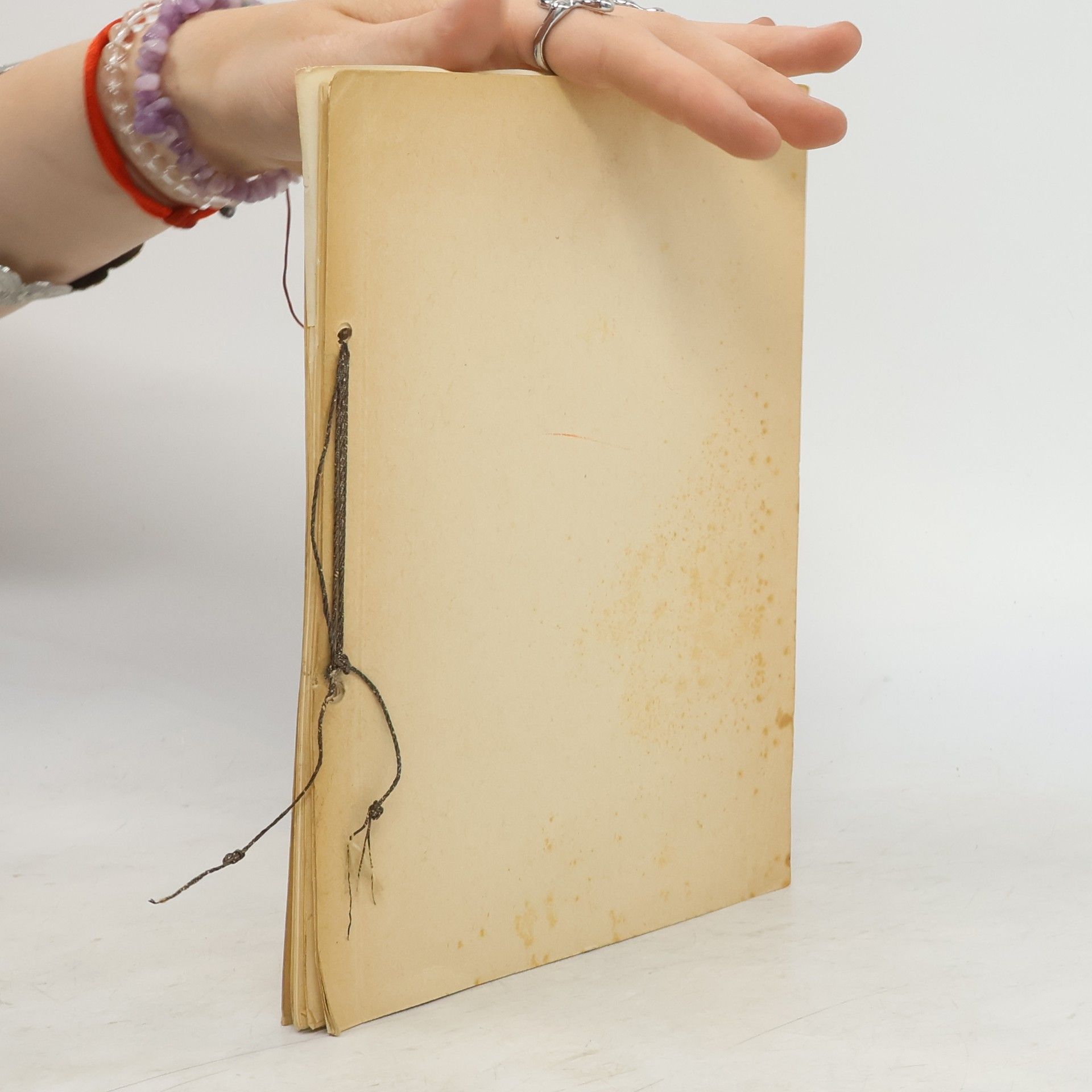 Annelies Bierhoff Peter und seine Sonnenblume und andere Geschichten und Verschen