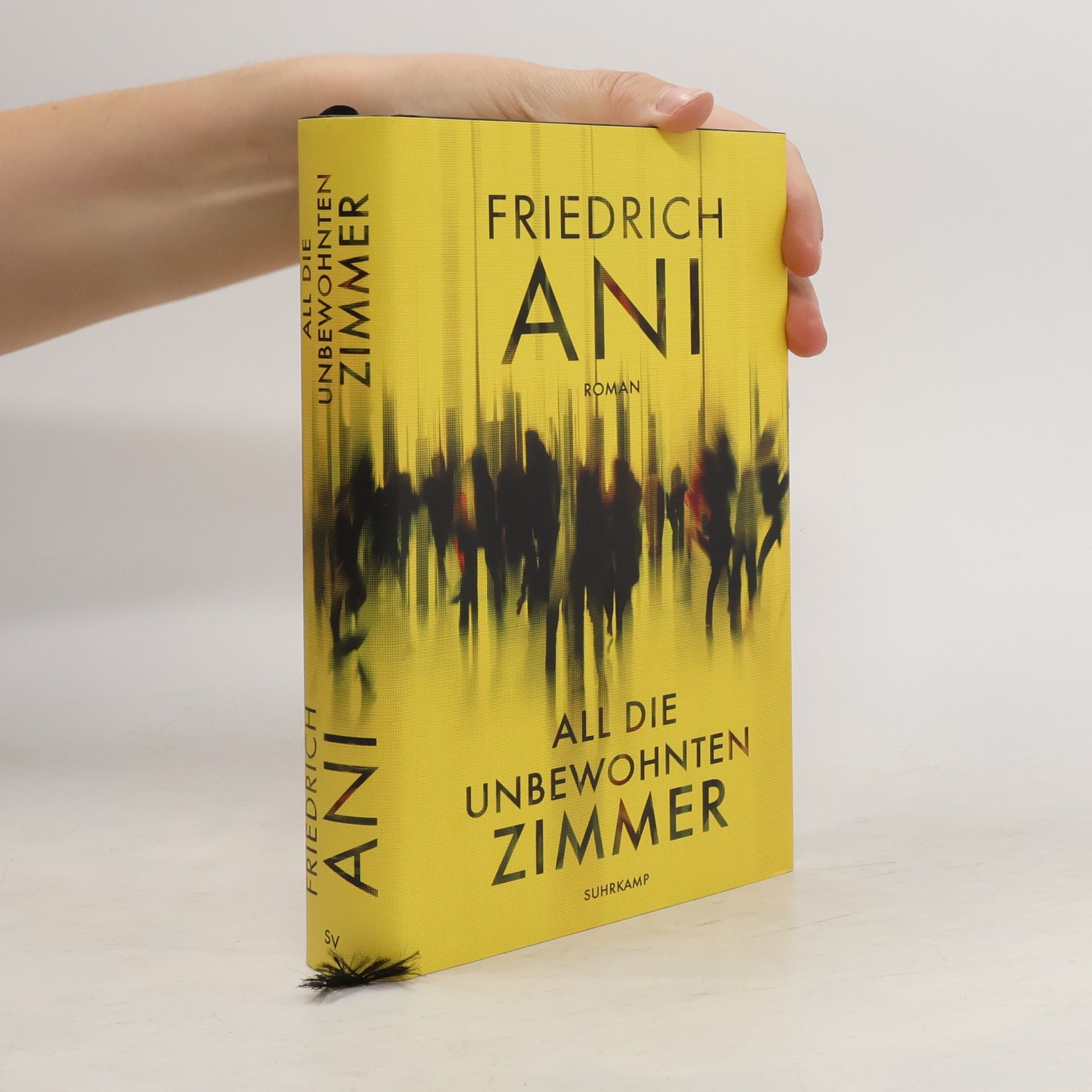 Friedrich Ani All die unbewohnten Zimmer