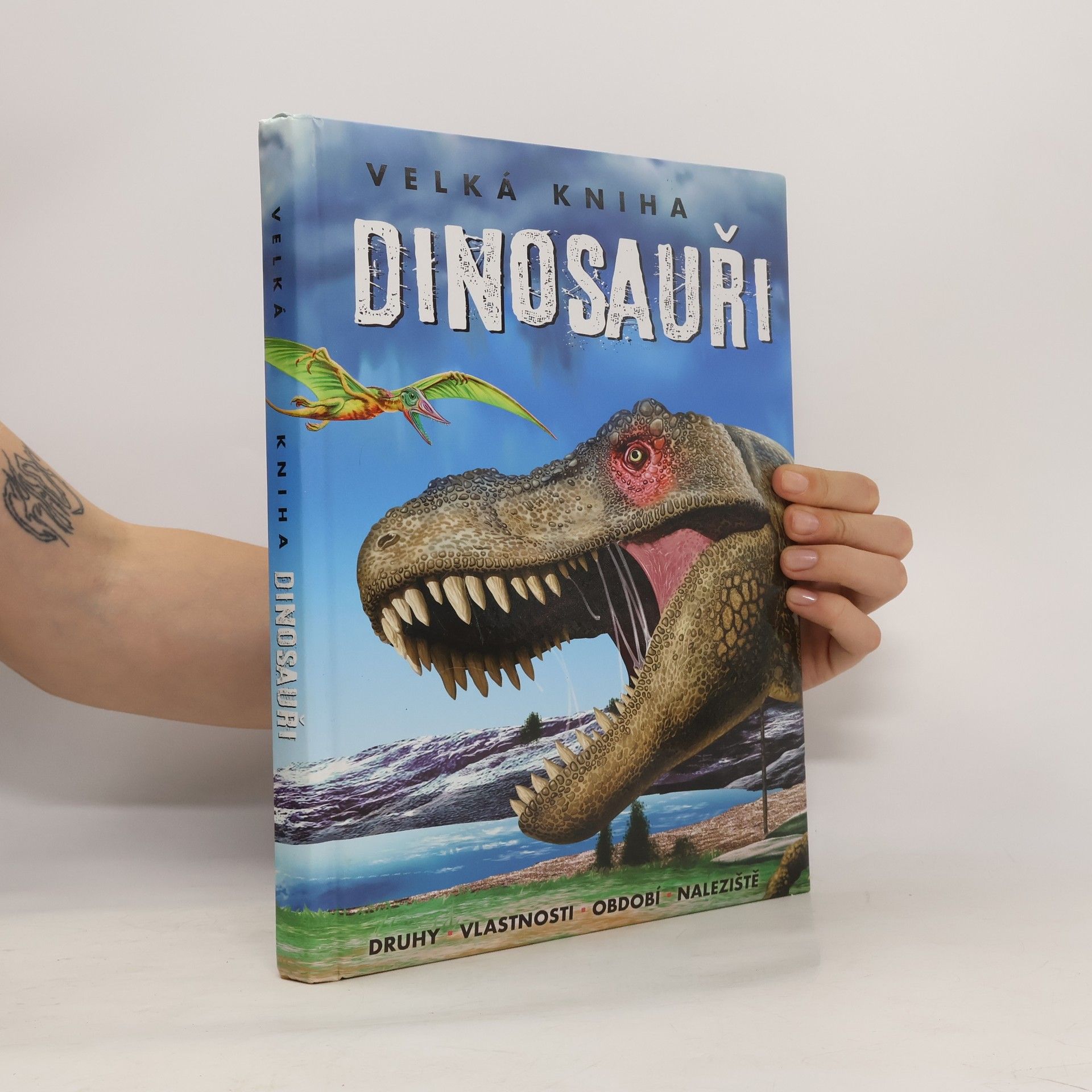 Autorenkollektiv Velká kniha. Dinosauři