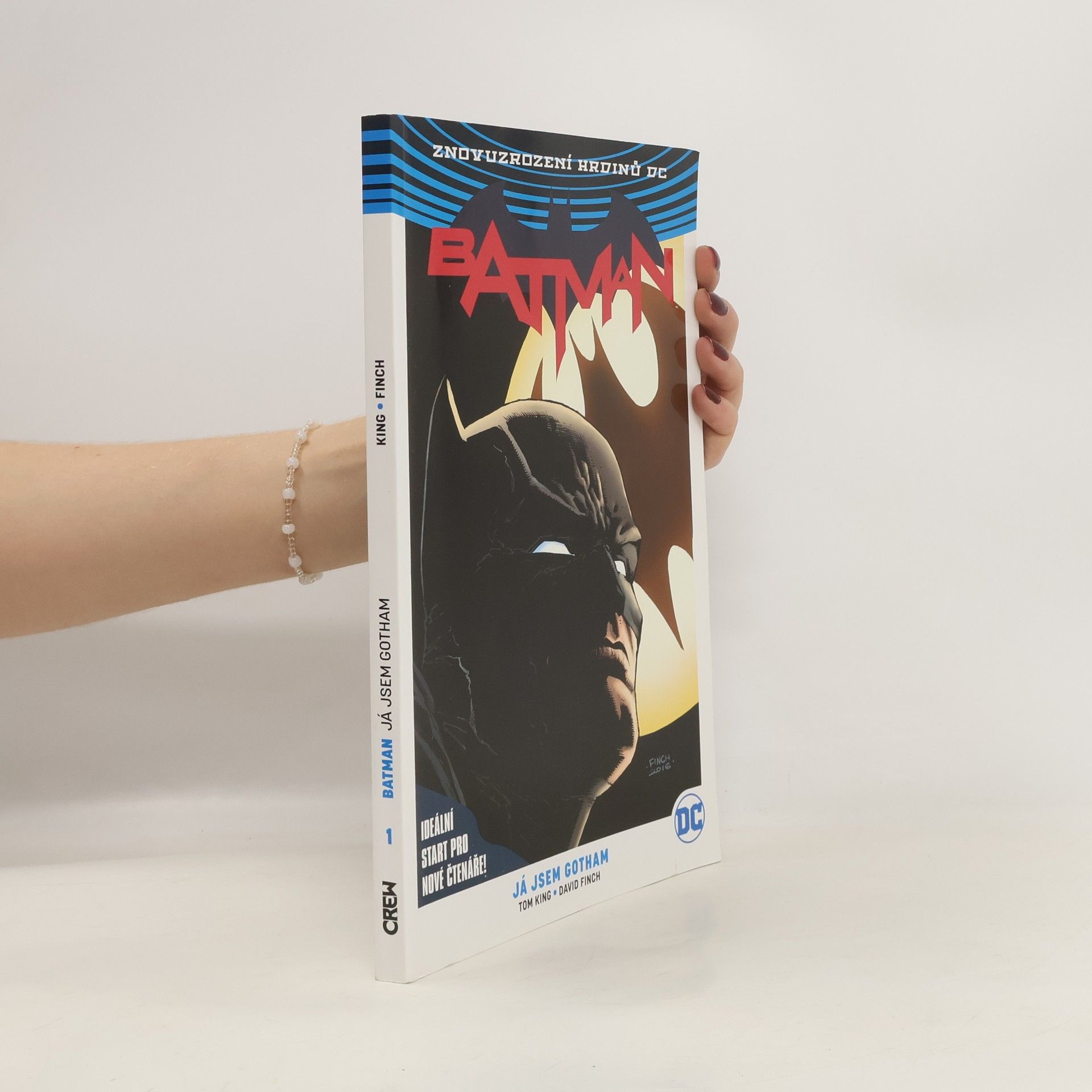 Kolektiv autorů Batman. 1. díl, Já jsem Gotham