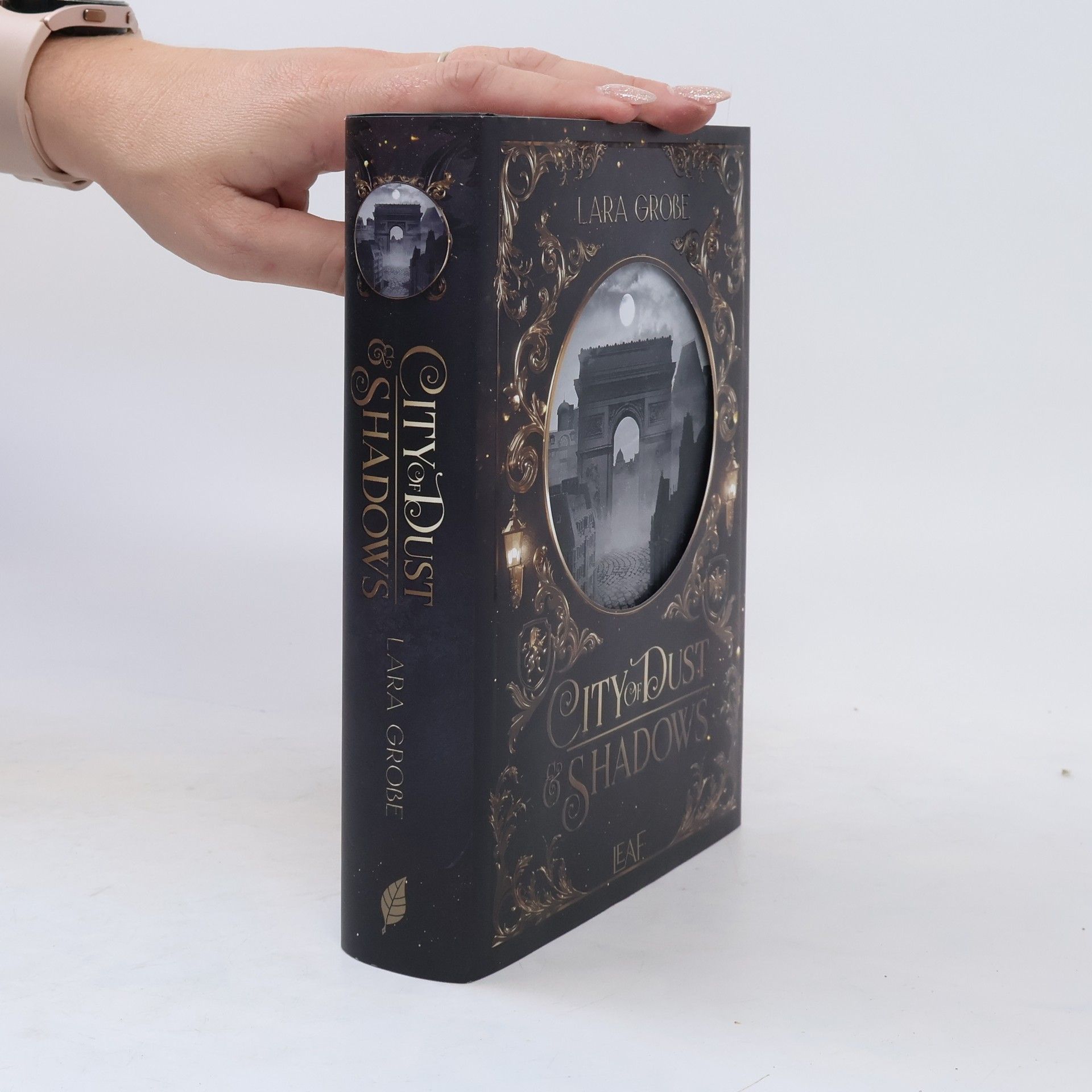 Lara Große City of Dust and Shadows