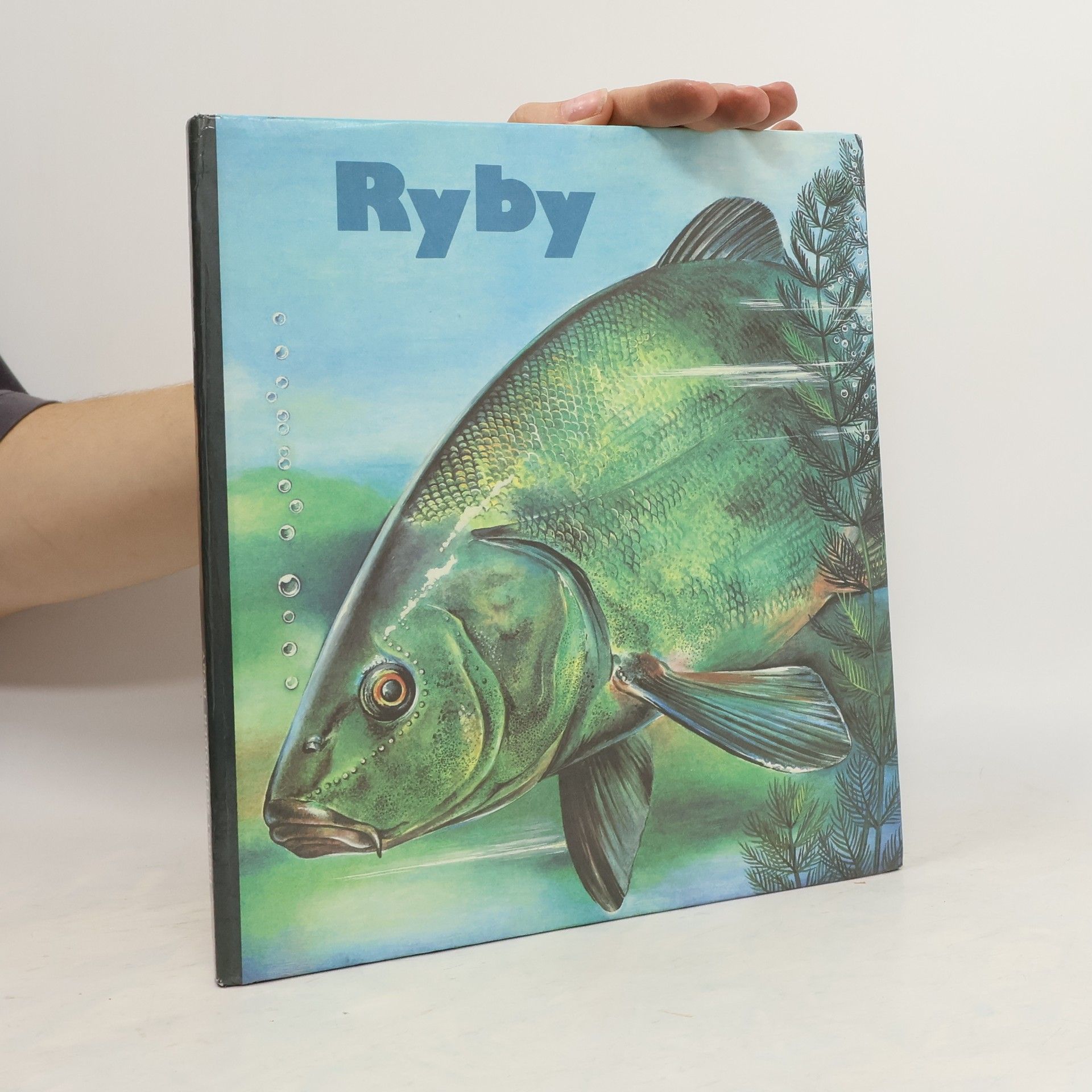 Kolektiv autorů Ryby