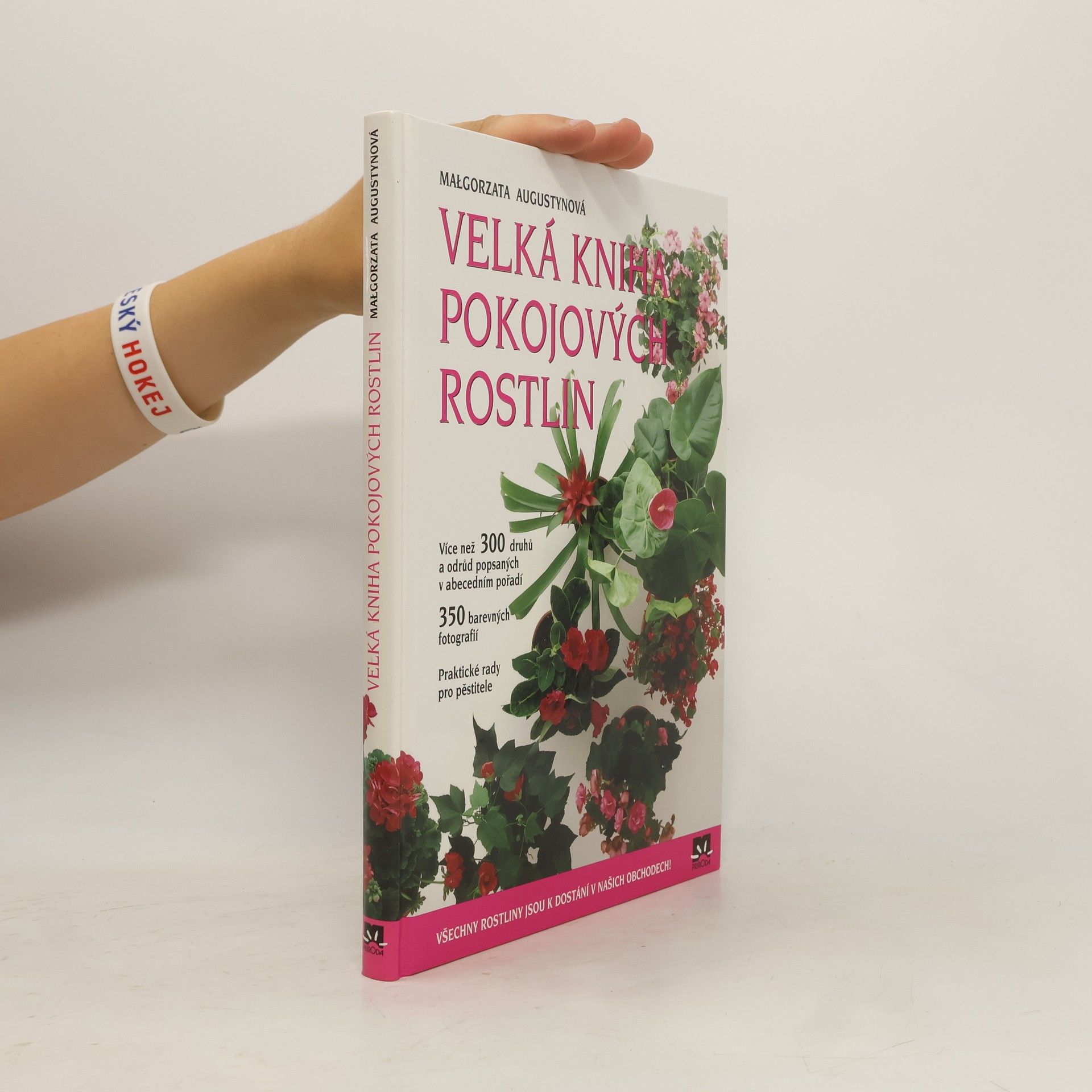 Małgorzata Augustyn Velká kniha pokojových rostlin