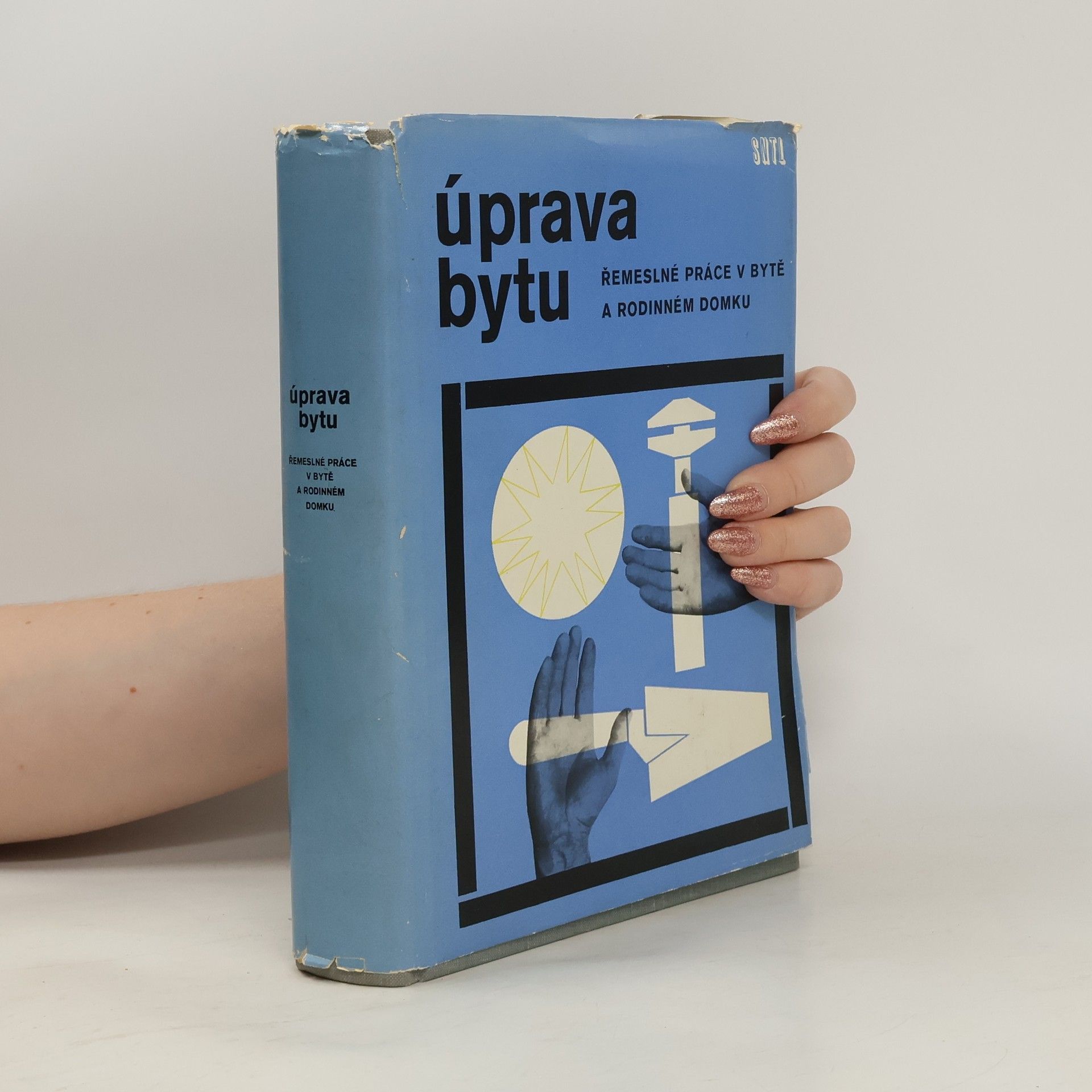 Kolektiv autorů Úprava bytu. Řemeslné práce v bytě a rodinném domku