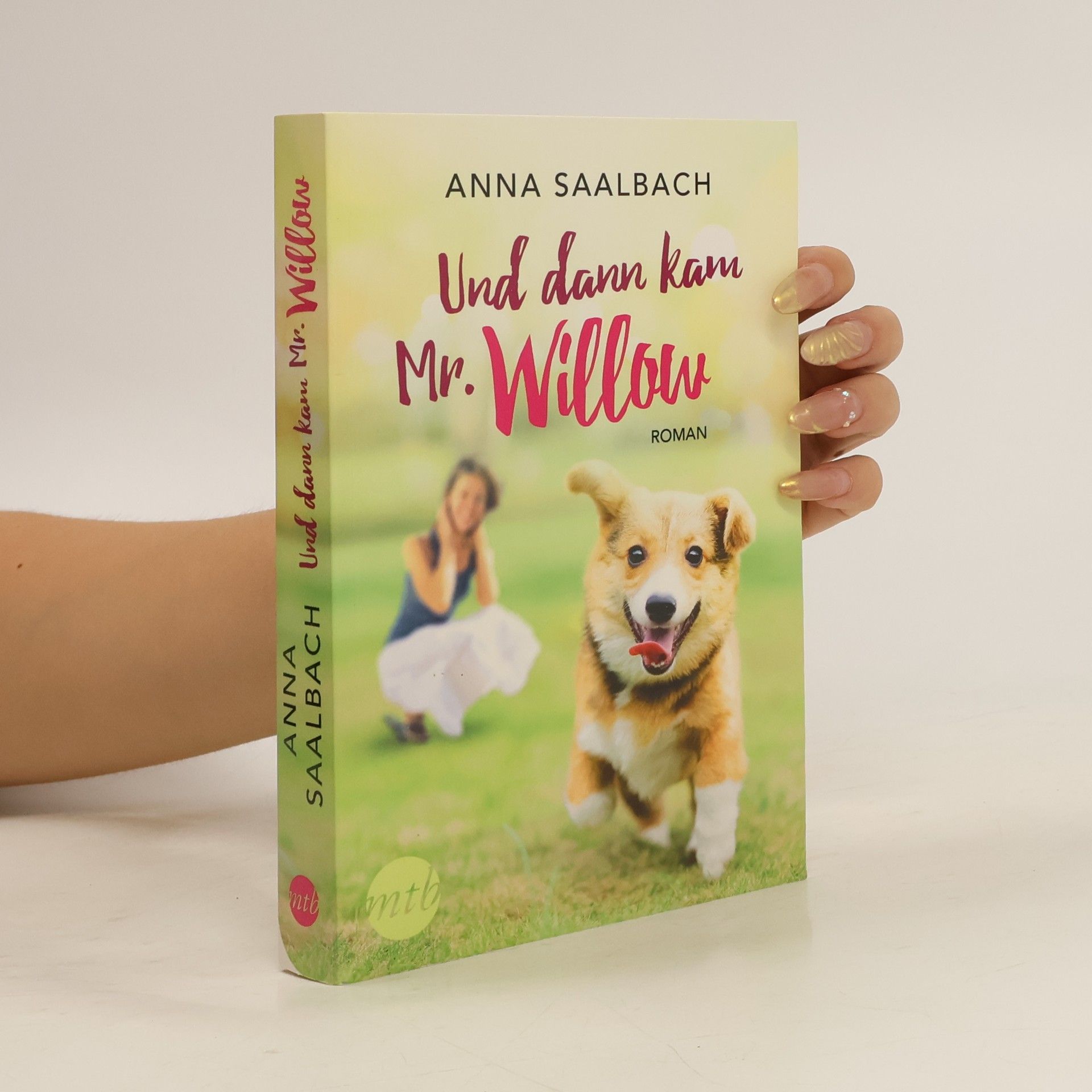 Anna Saalbach Und dann kam Mr. Willow