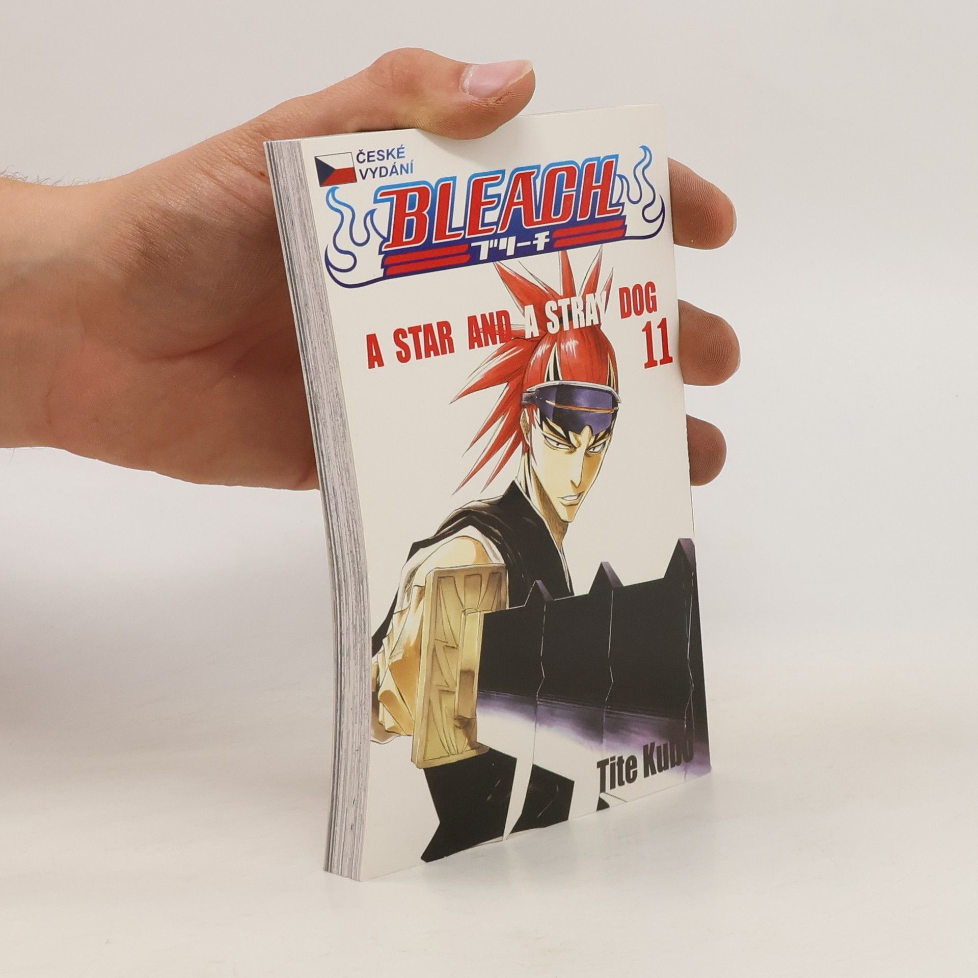 Tite Kubo Bleach 11: A star and a stray dog