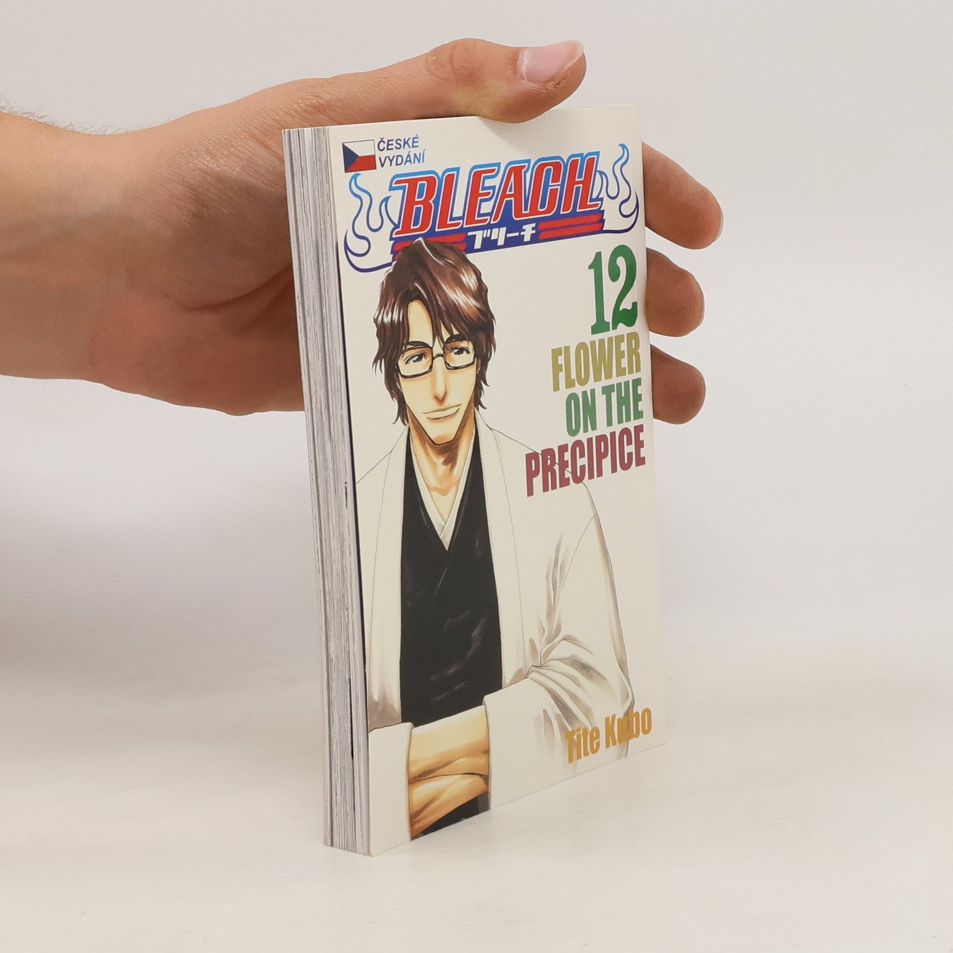 Tite Kubo Bleach 12: Flower on the precipice