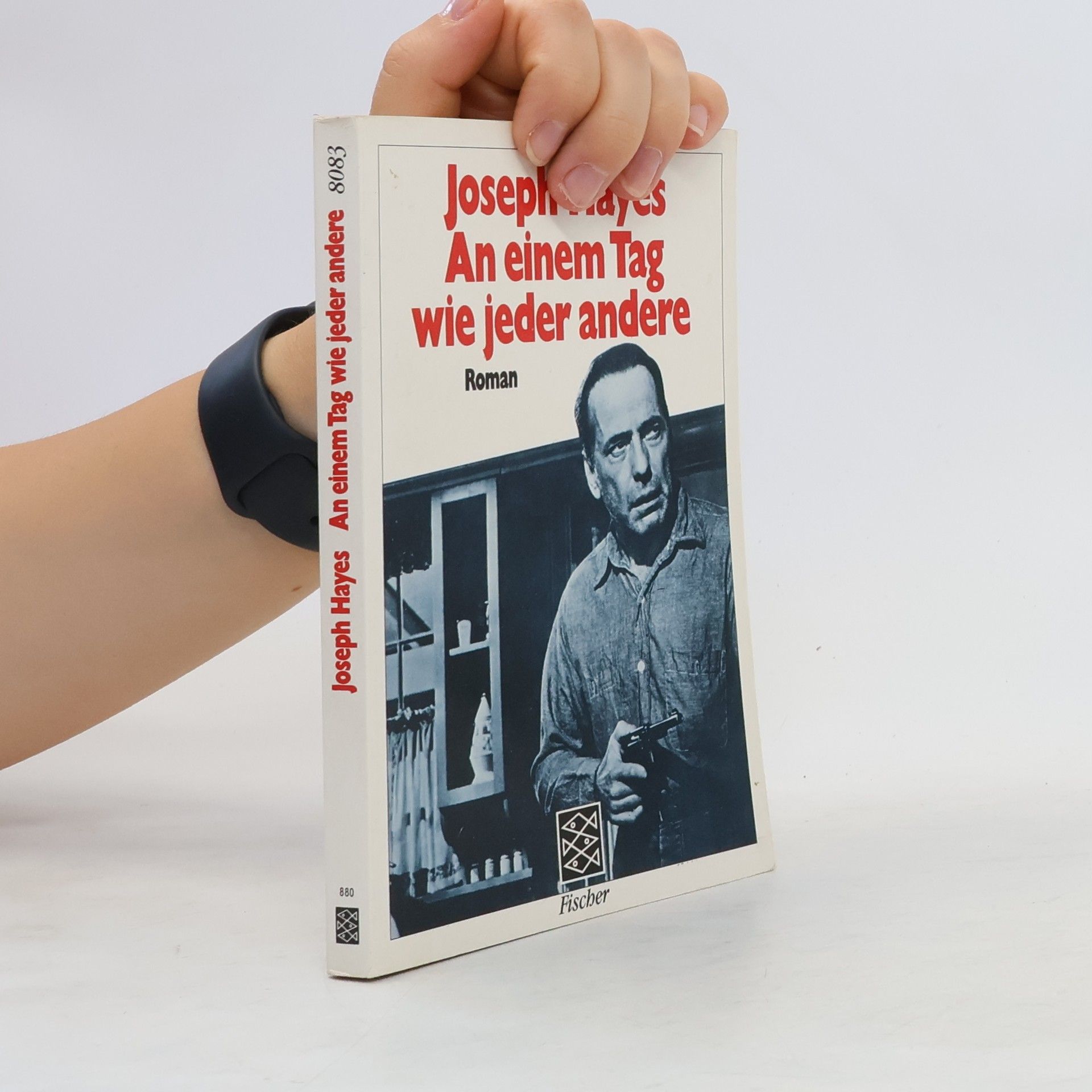 Joseph Hayes An einem Tag wie jeder andere