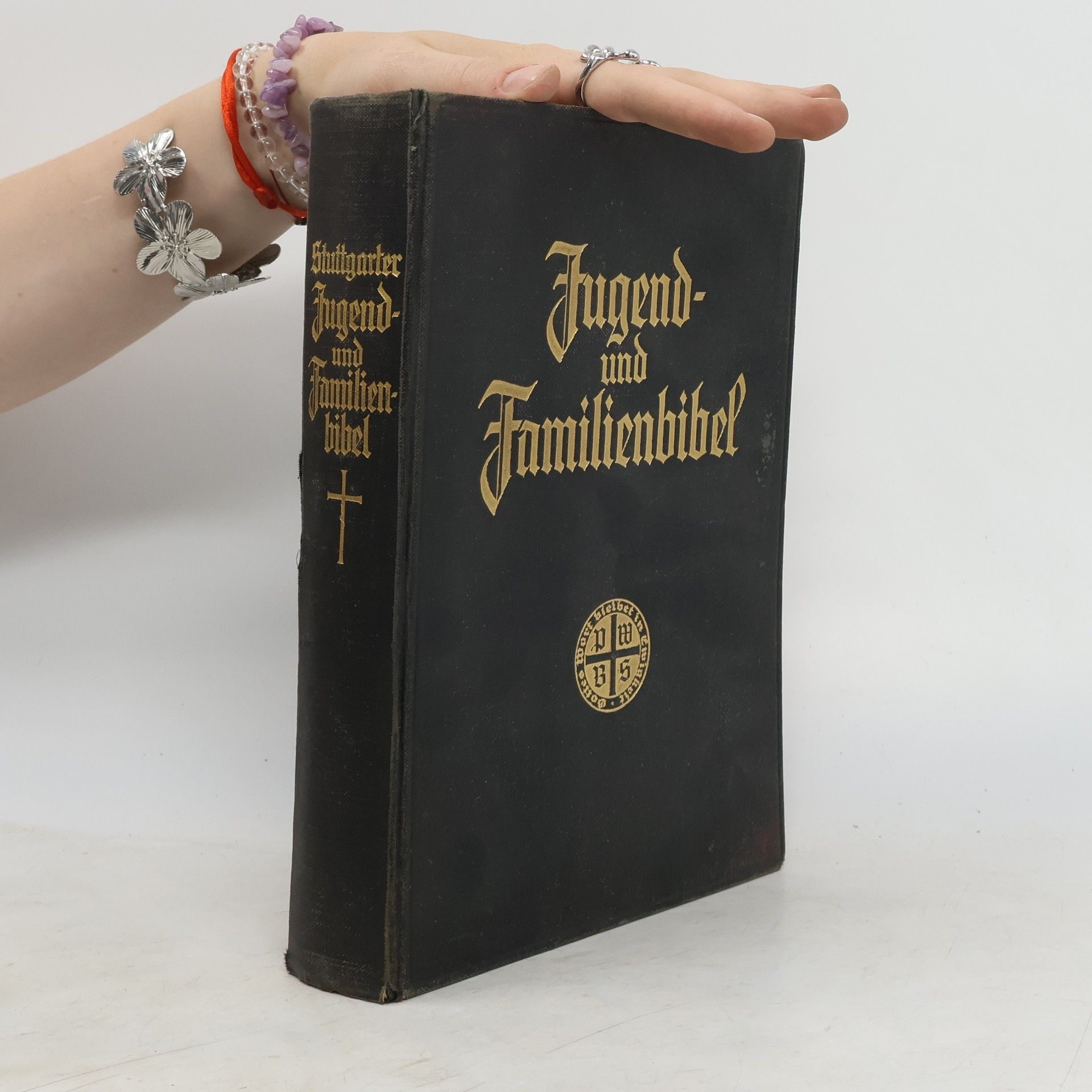 Martin Luther Stuttgarter Jugend- und Familienbibel zur Einführung ins Bibellesen