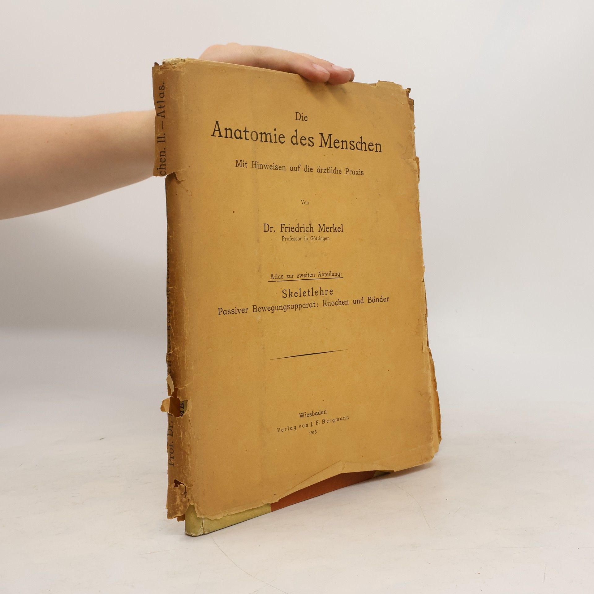 Friedrich Merkel Atlas zur Skeletlehre