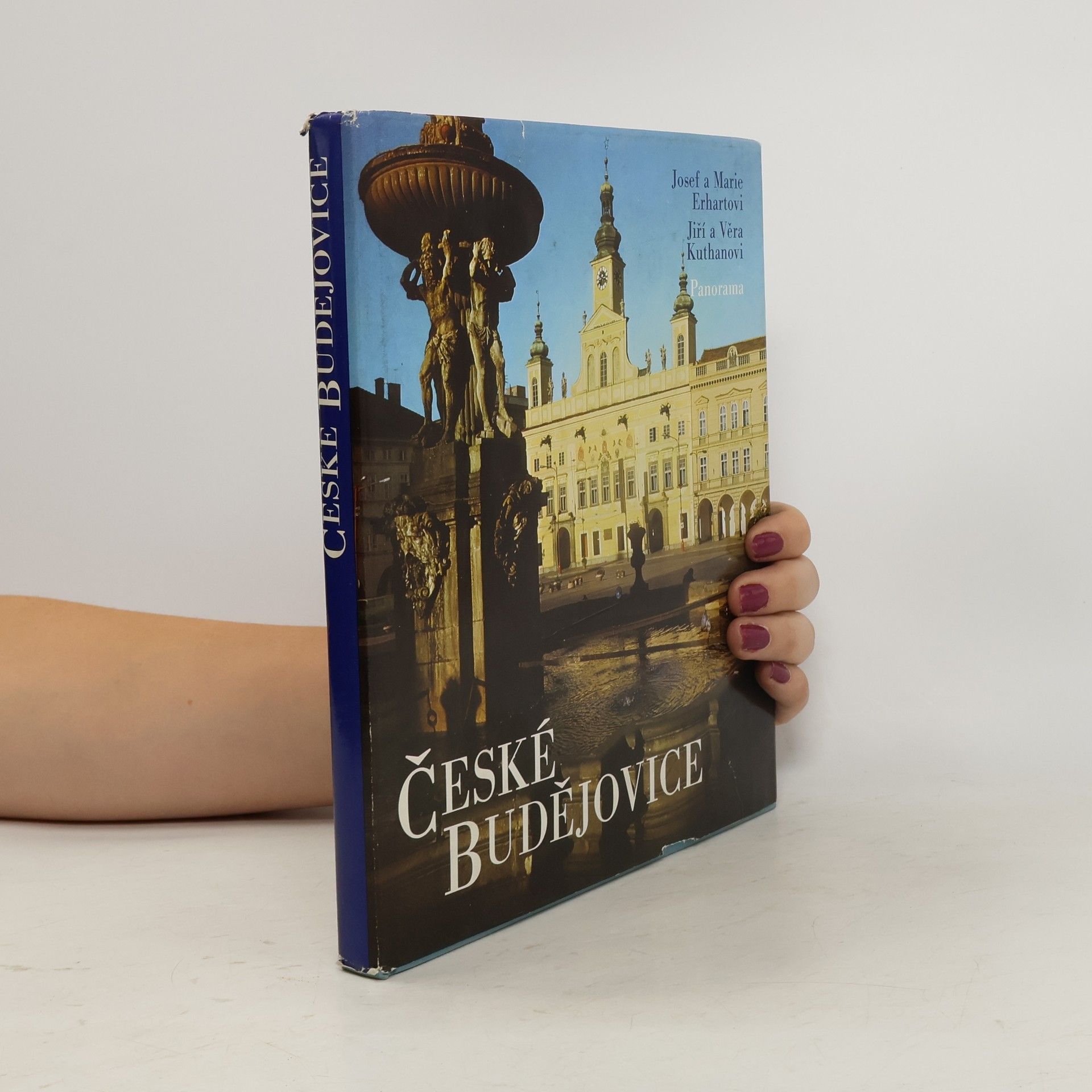 Kolektiv autorů České Budějovice