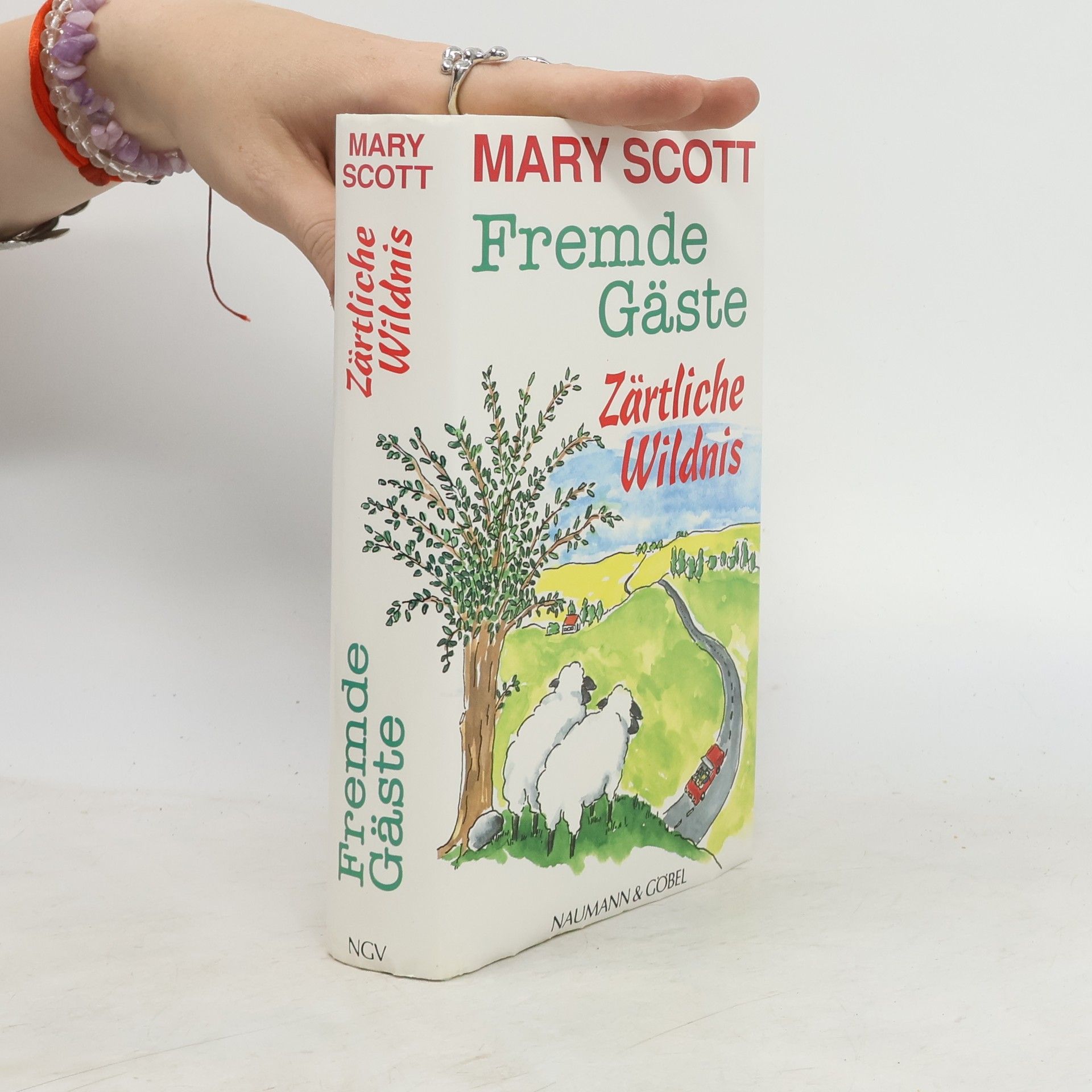Mary Scott Fremde Gäste