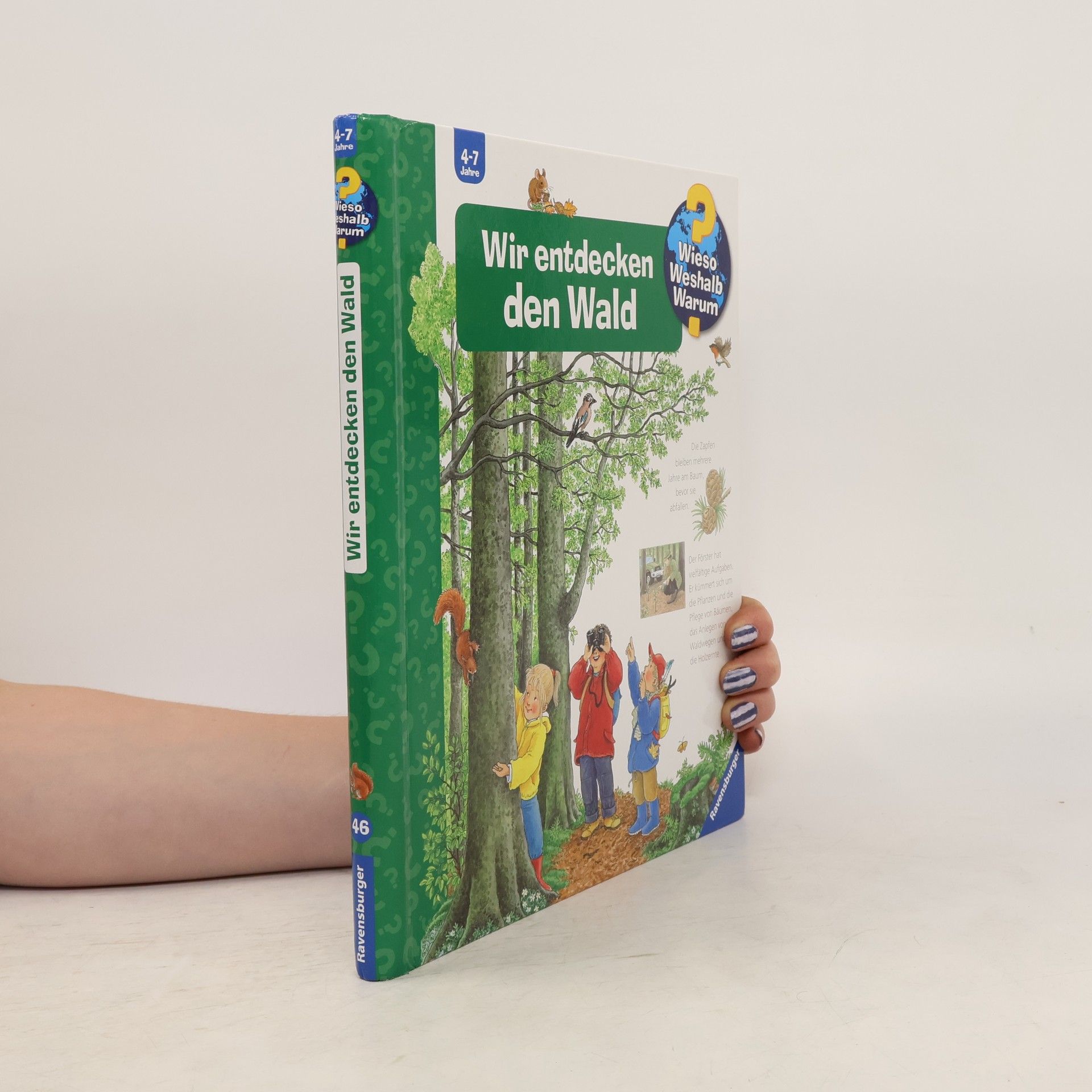 Angela Weinhold Wir entdecken den Wald