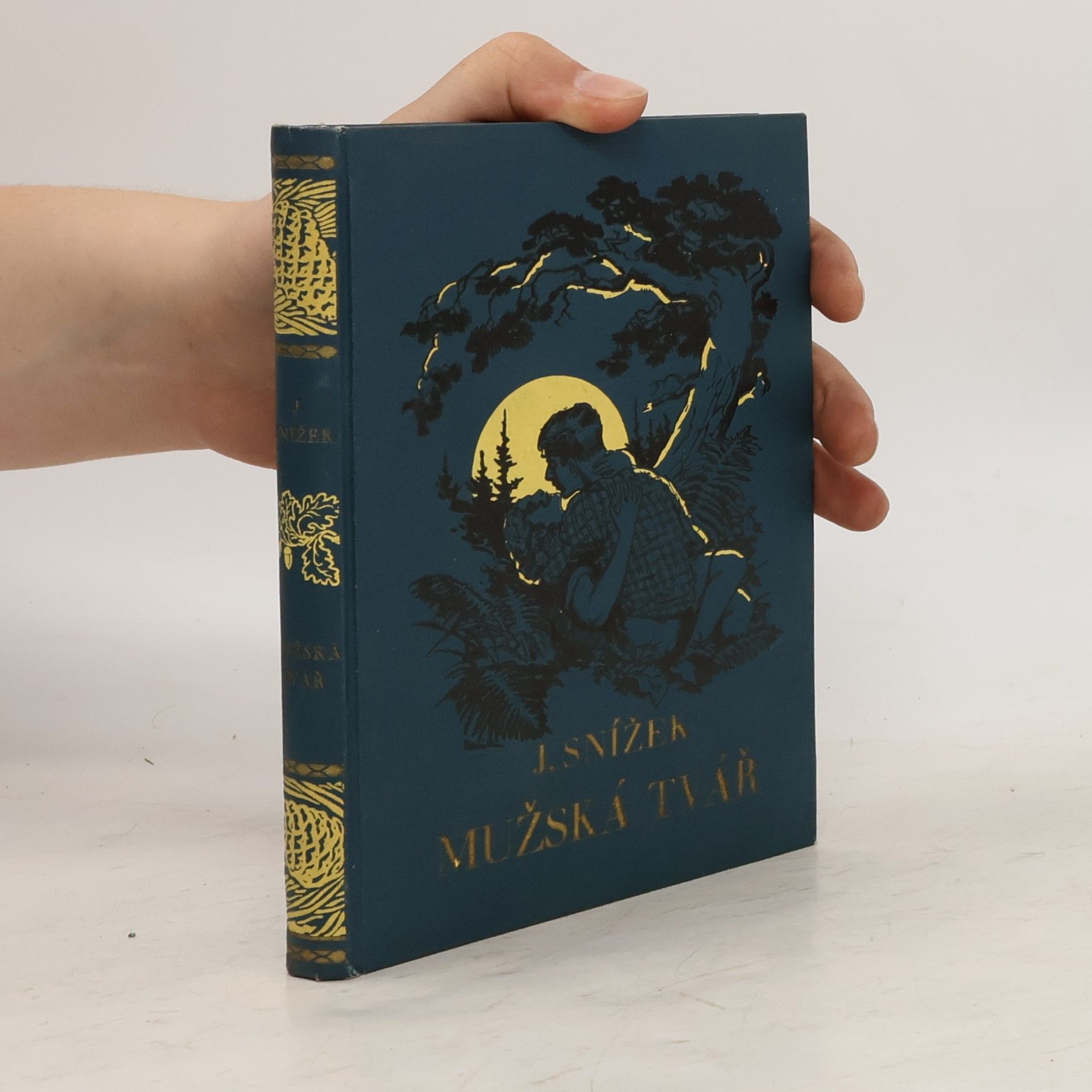 Jindřich Snížek Mužská tvář