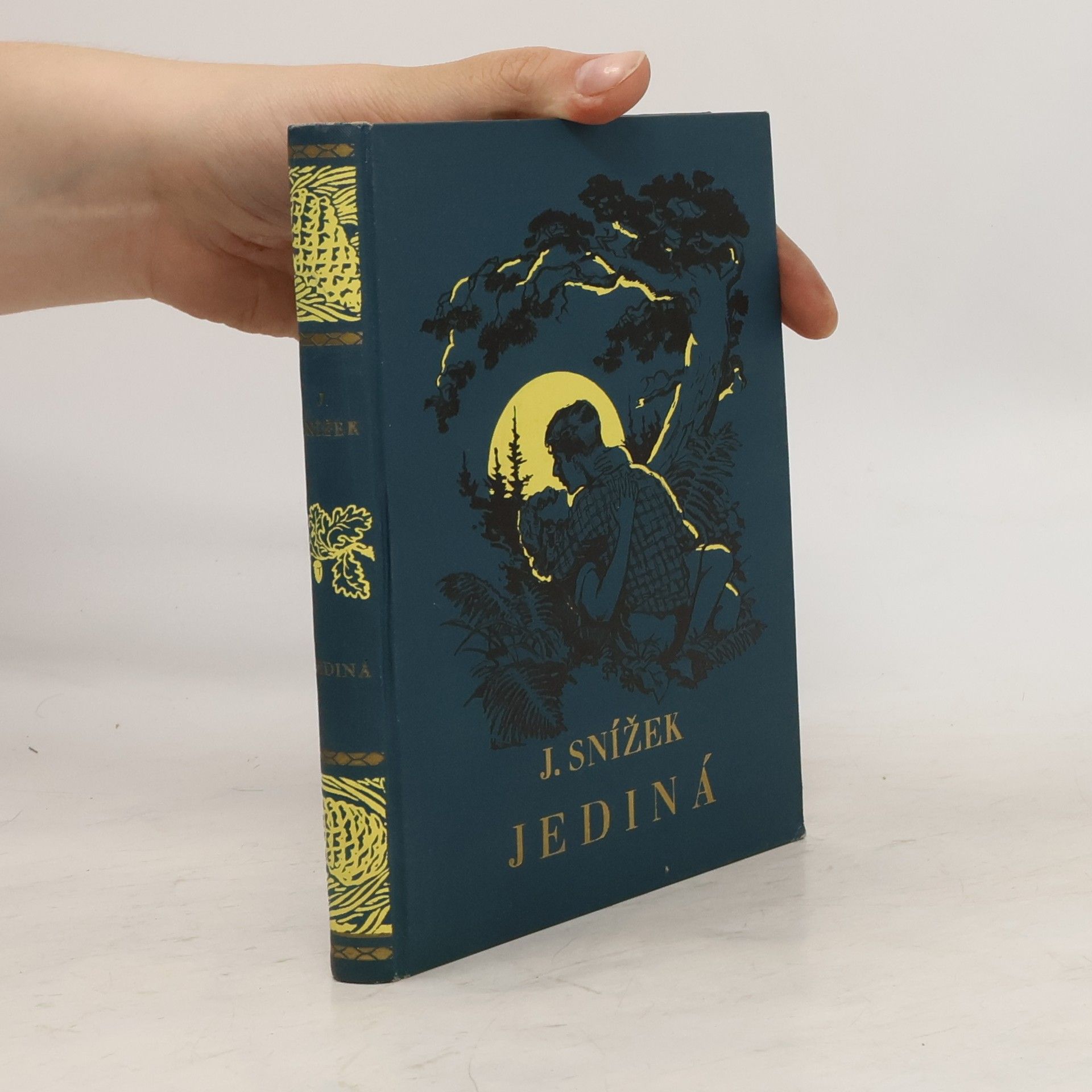 Jindřich Snížek Jediná