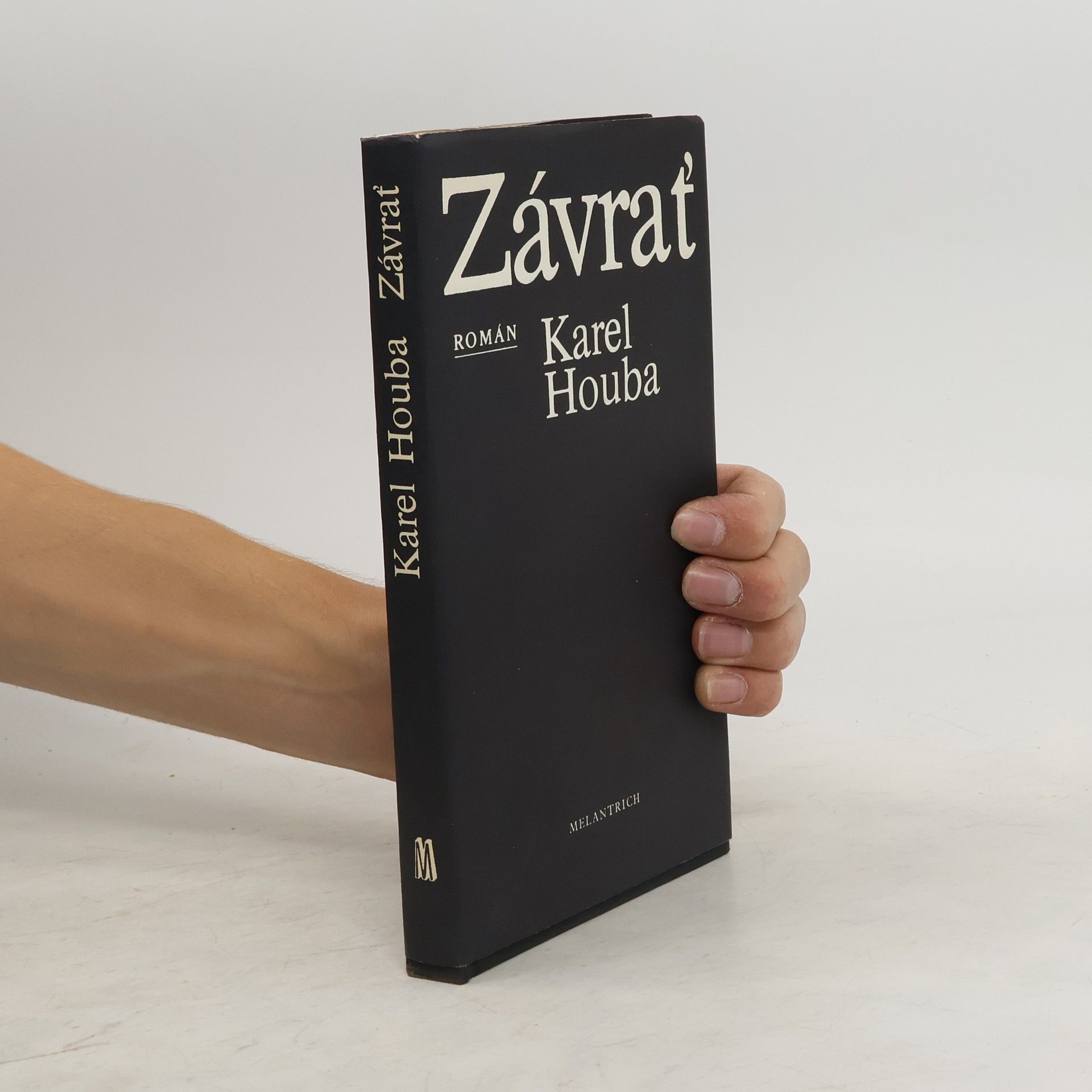 Karel Holub Závrať