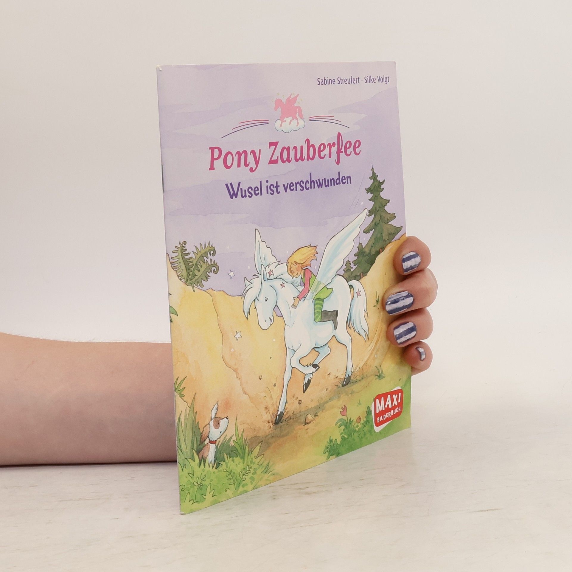 Sabine Streufert Pony Zauberfee: Wusel ist verschwunden
