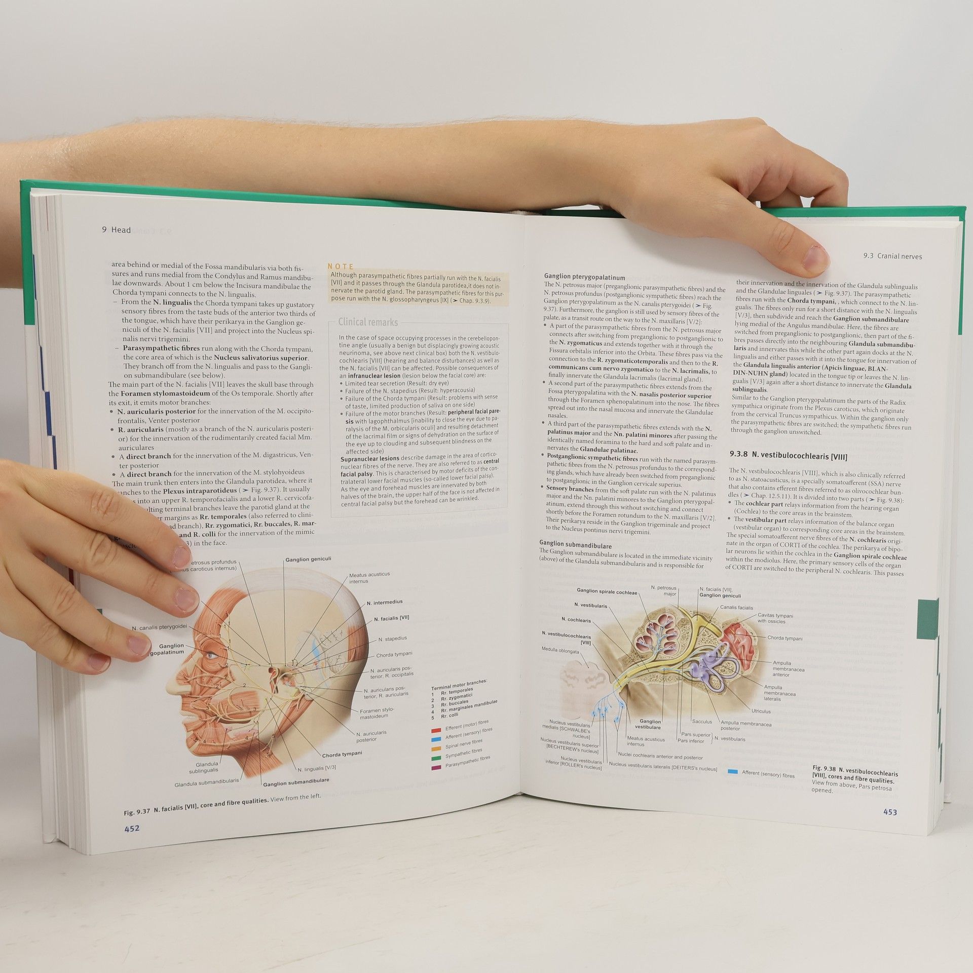 Jens Waschke Sobotta anatomy textbook