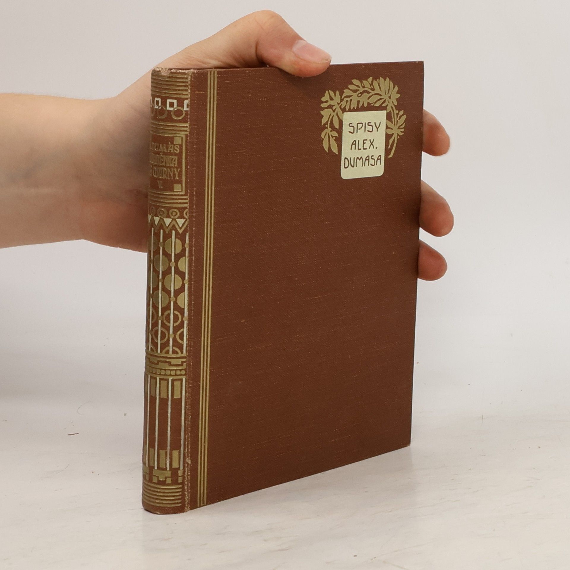 Alexandre Dumas starší Hraběnka de Charny. Díl V.