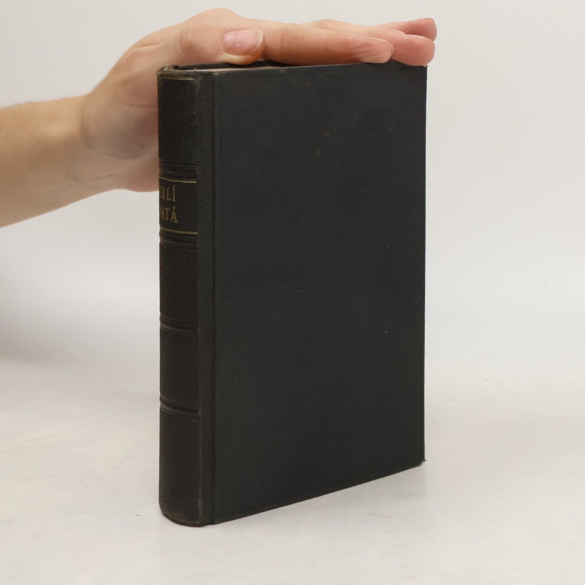 Kolektiv autorů Biblí svatá aneb Všecka svatá písma Starého i Nového zákona