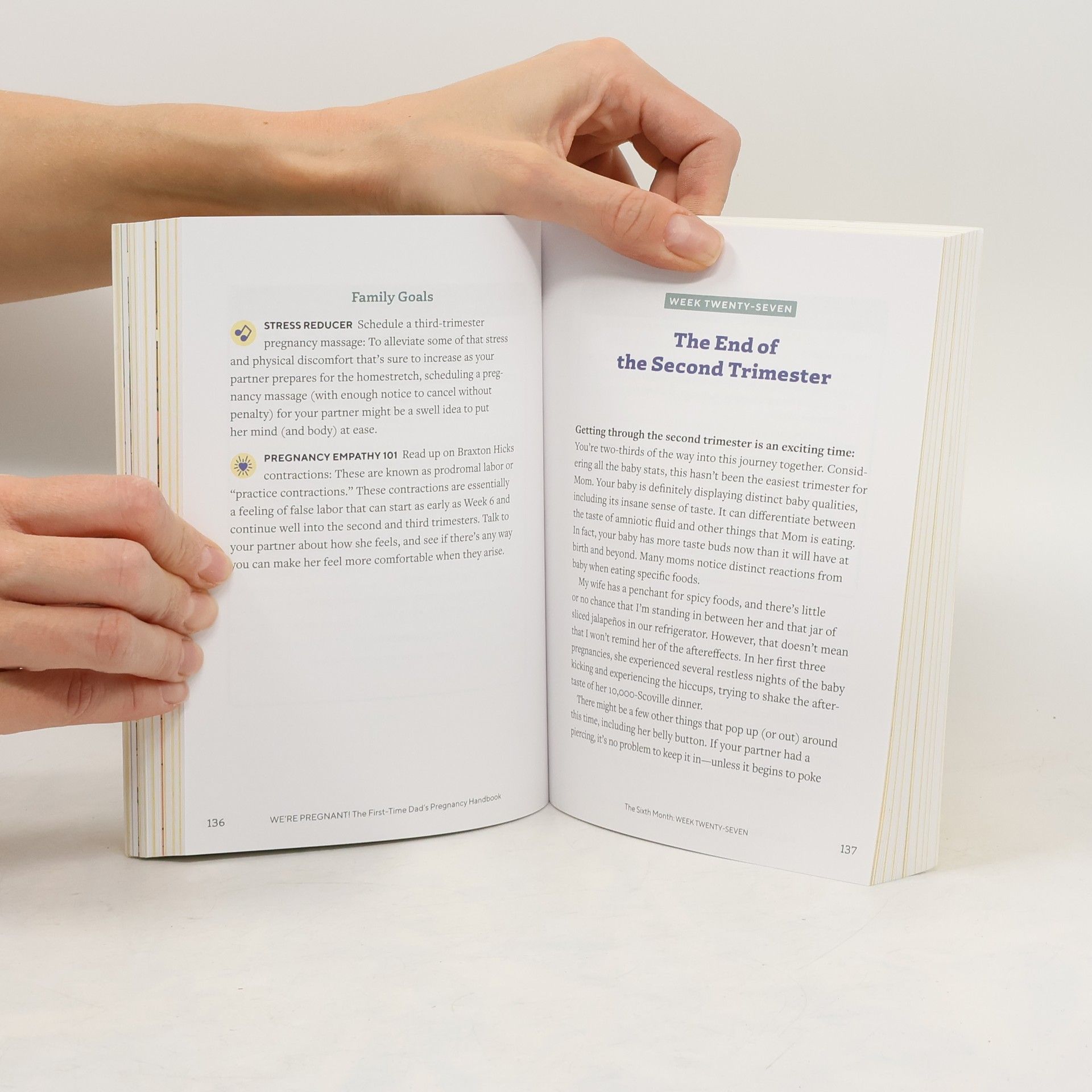 Adrian Kulp We're Pregnant! the First Time Dad's Pregnancy Handbook