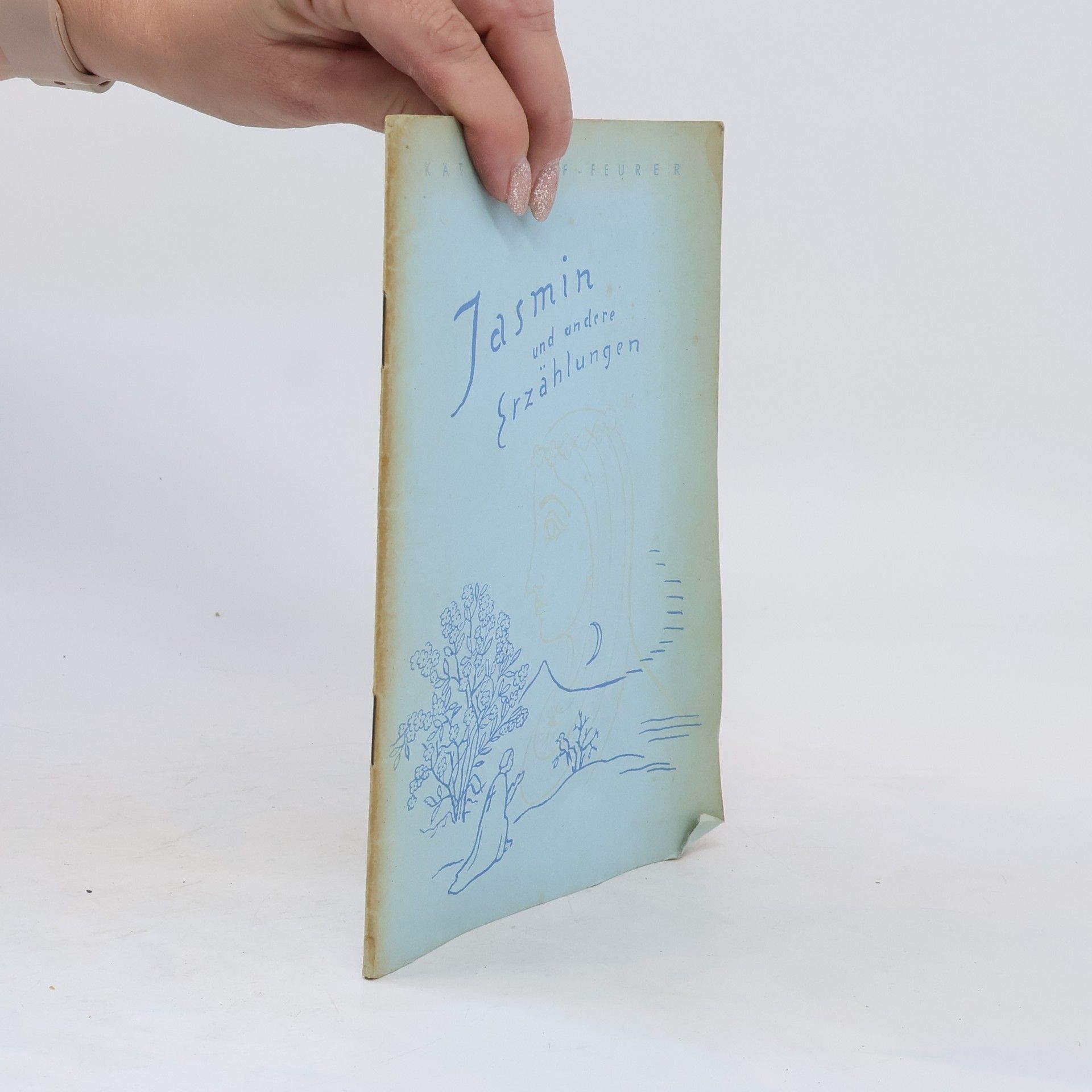 Käthe Wolf-Feurer Jasmin und andere Erzählungen
