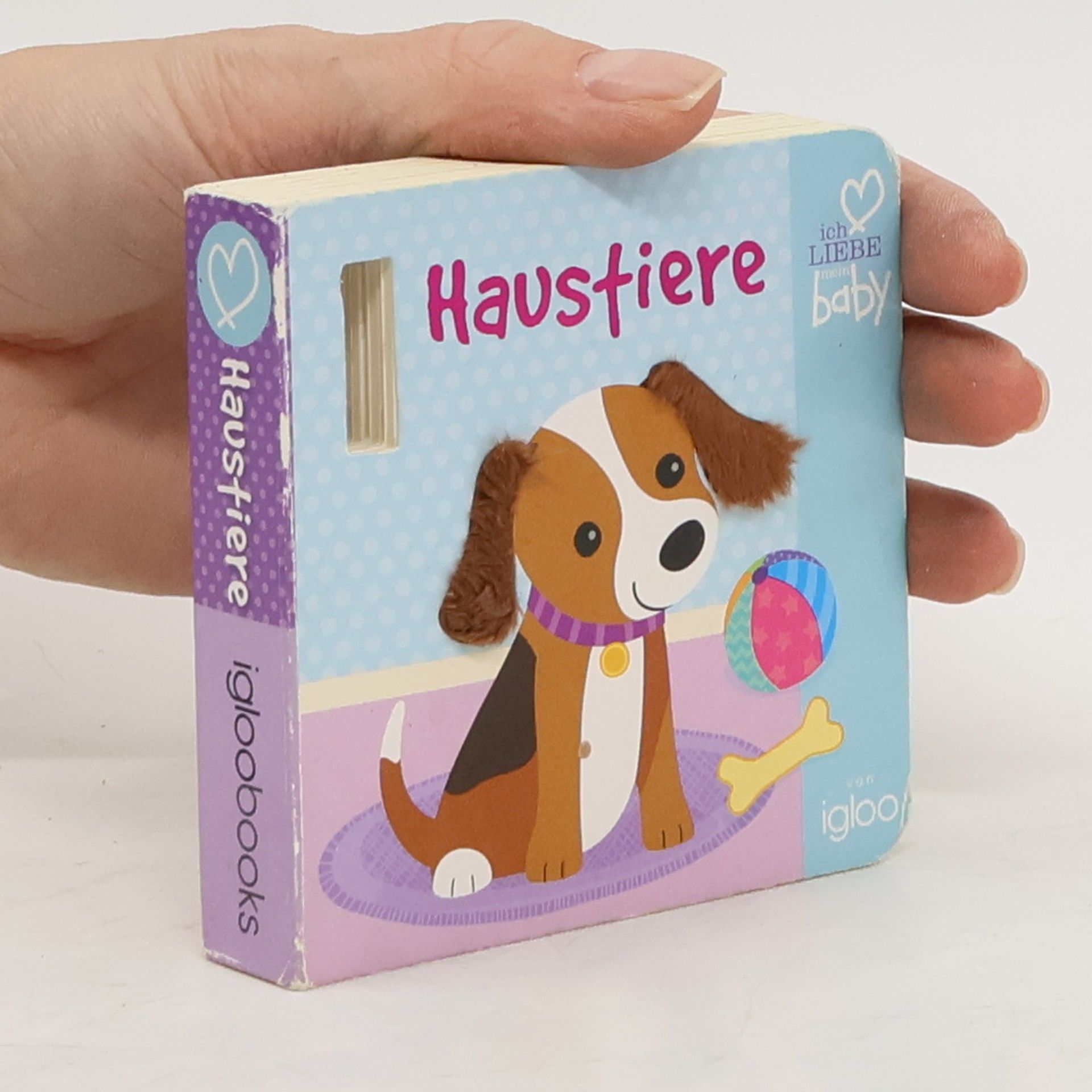 Autorenkollektiv Haustiere
