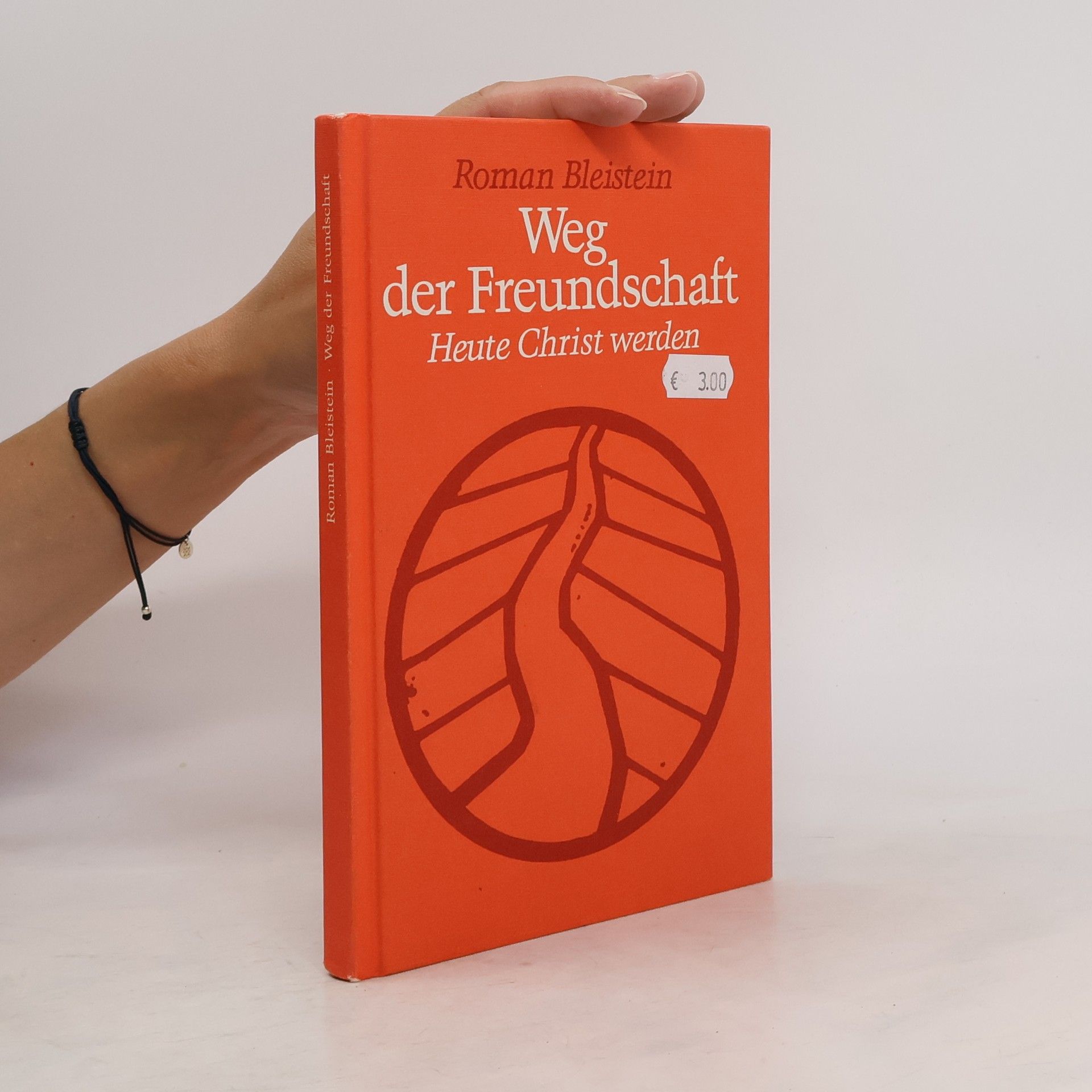 Roman Bleistein Weg der Freundschaft