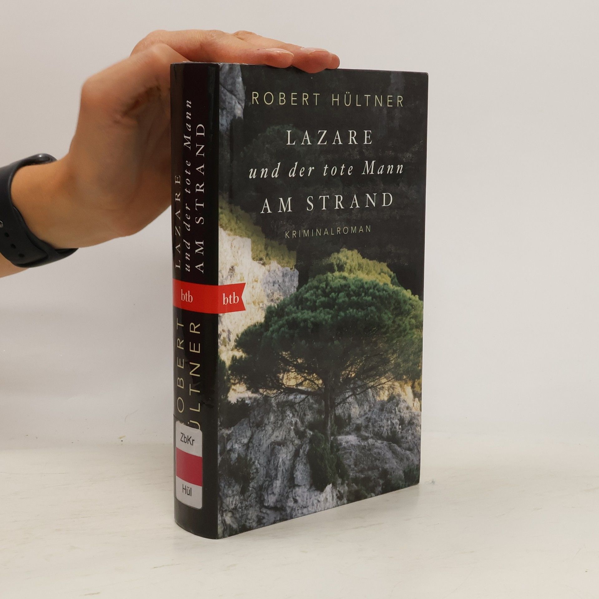 Robert Hültner Lazare und der tote Mann am Strand