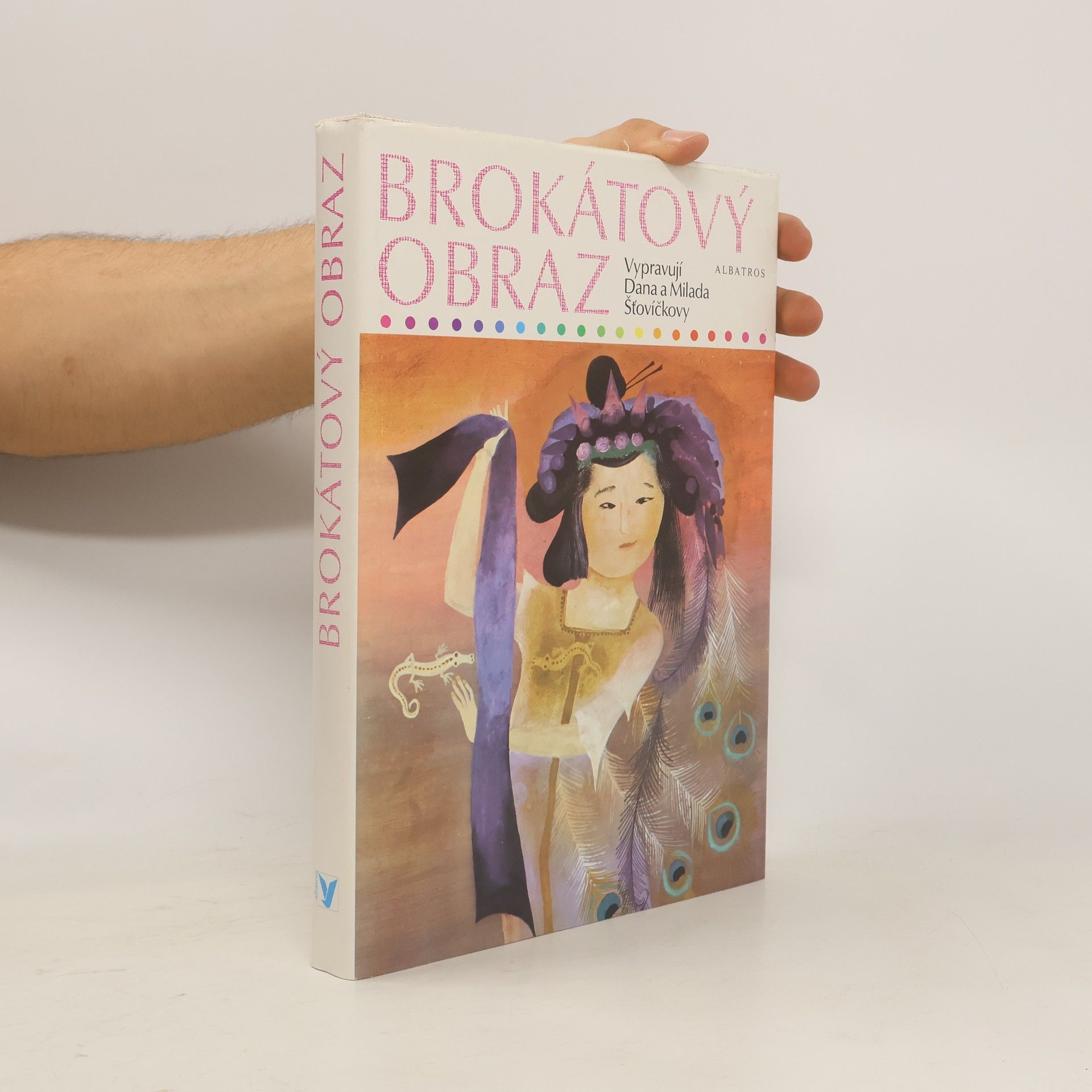 Dana Šťovíčková Brokátový obraz