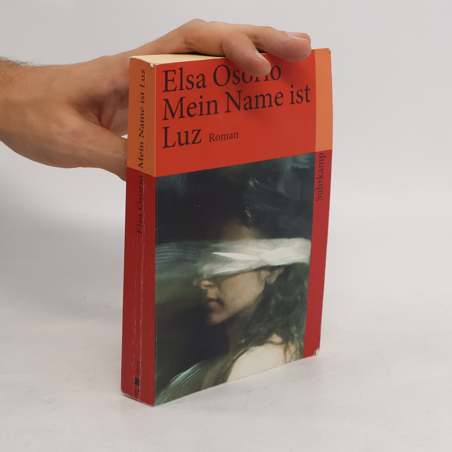 Elsa Osorio Mein Name ist Luz