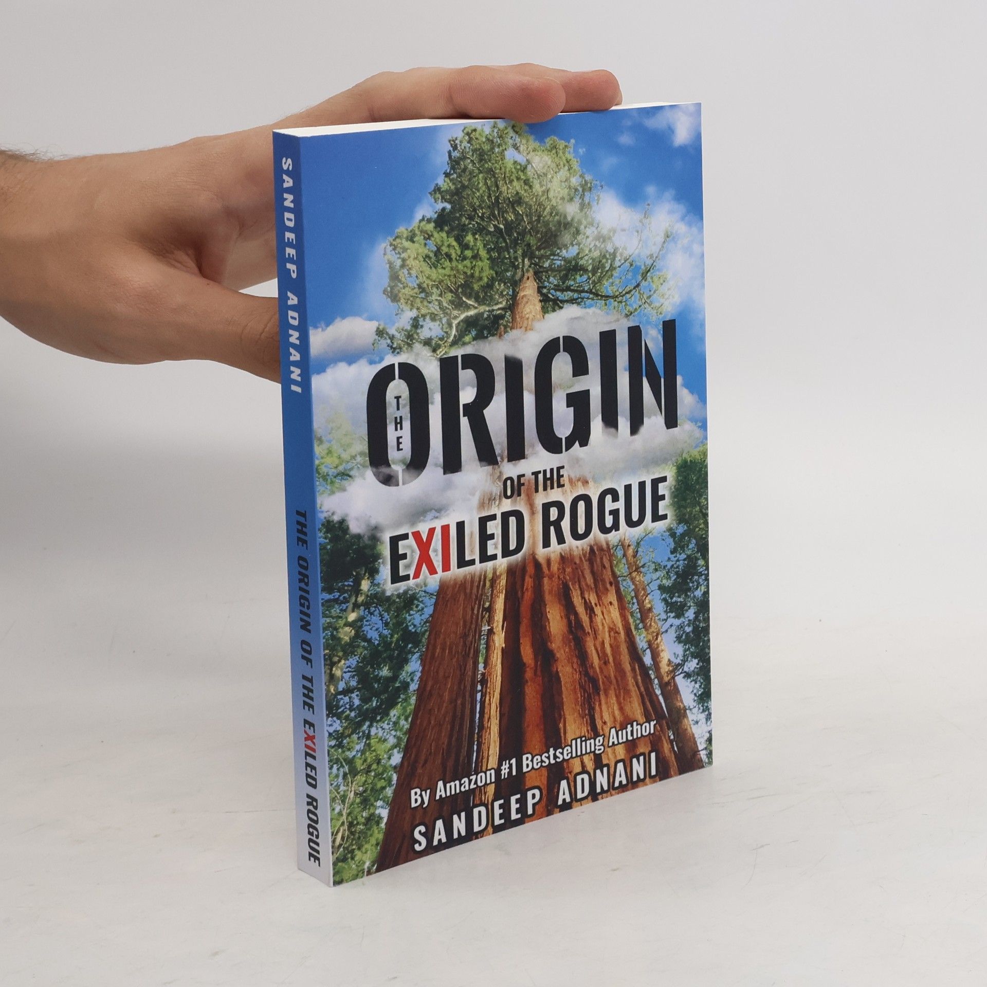Sandeep Adnani The Origin of the Exiled Rogue
