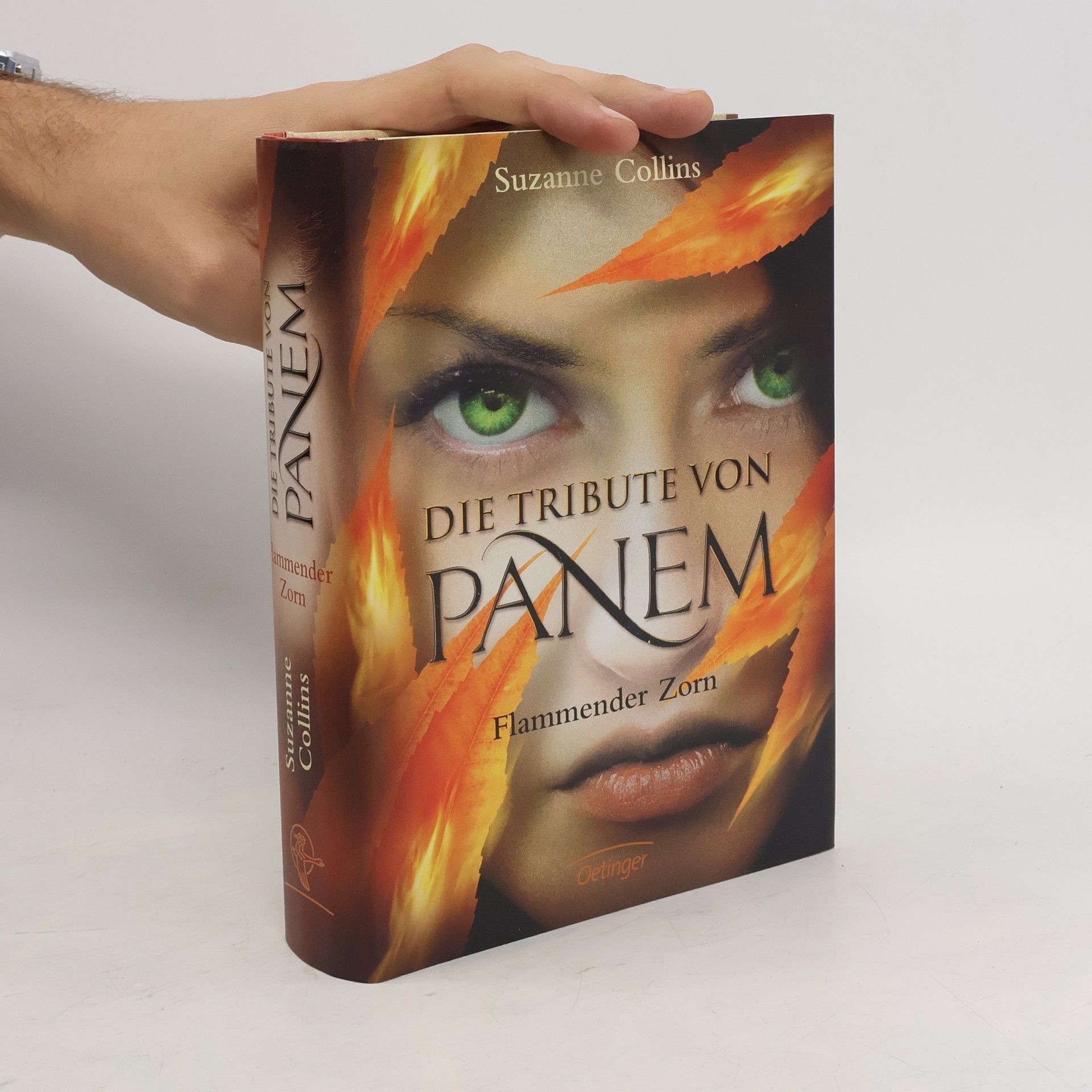 Die Tribute vom panem. Flammender Zorn