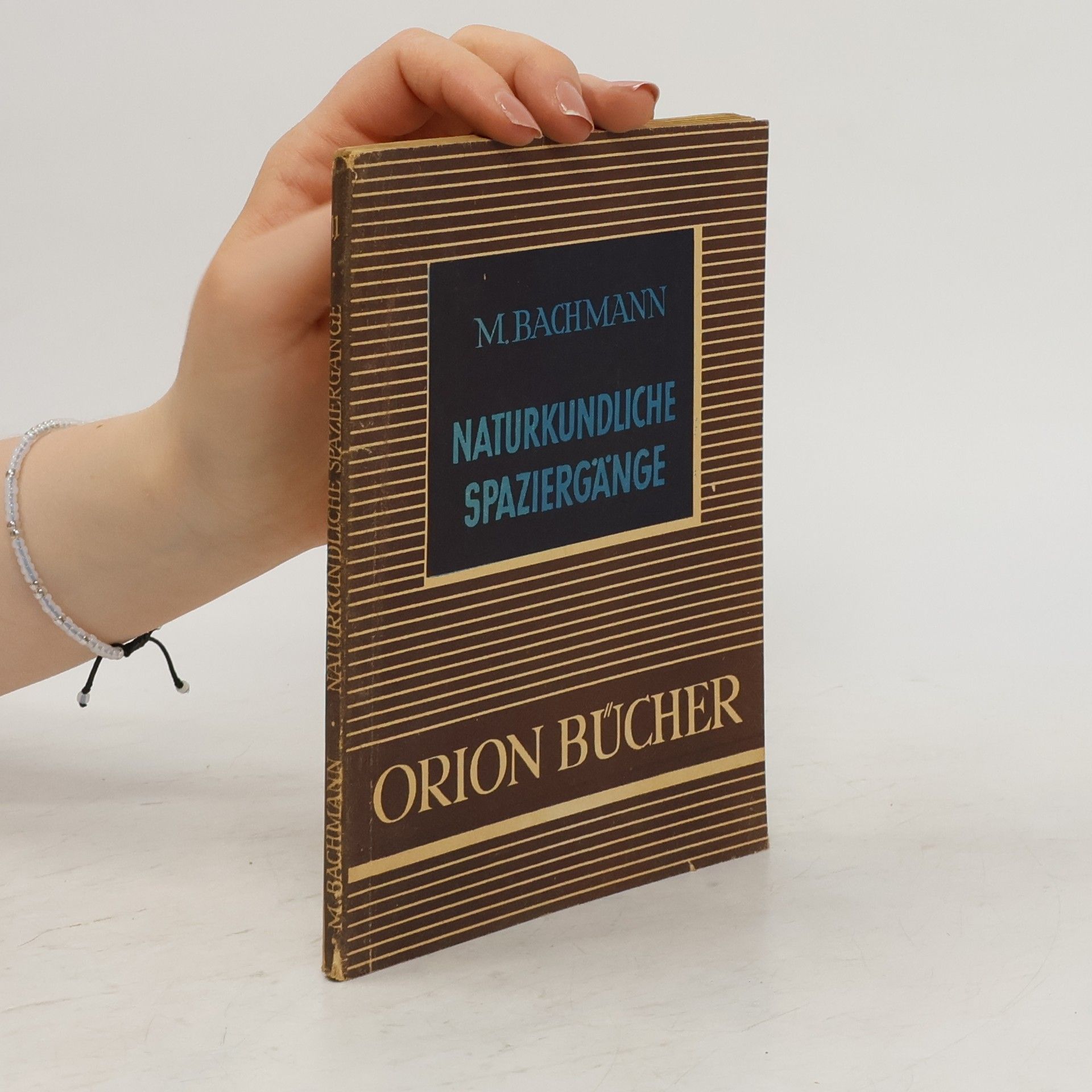 M. Bachmann Naturkundliche Spaziergänge