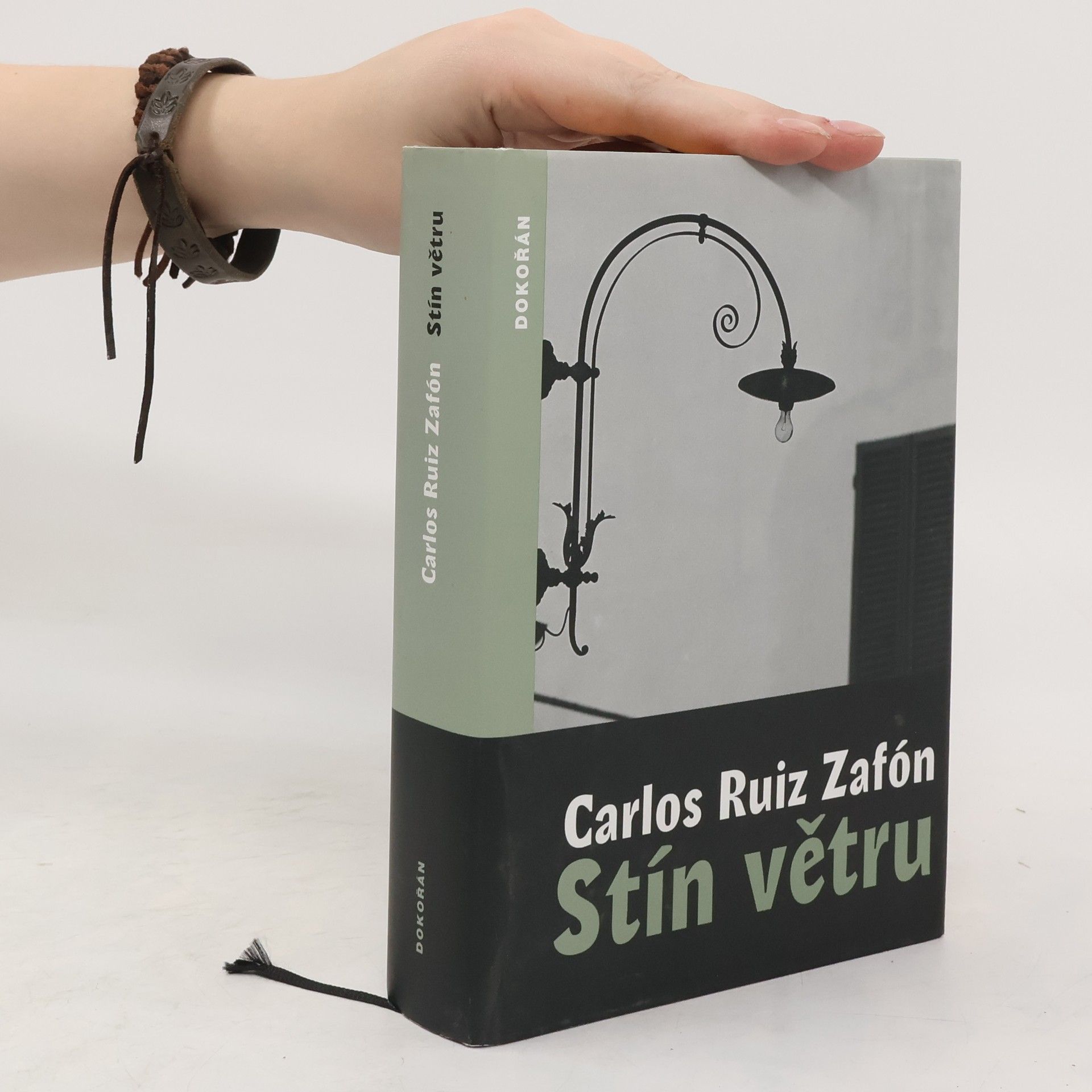 Carlos Ruiz Safon Stín větru