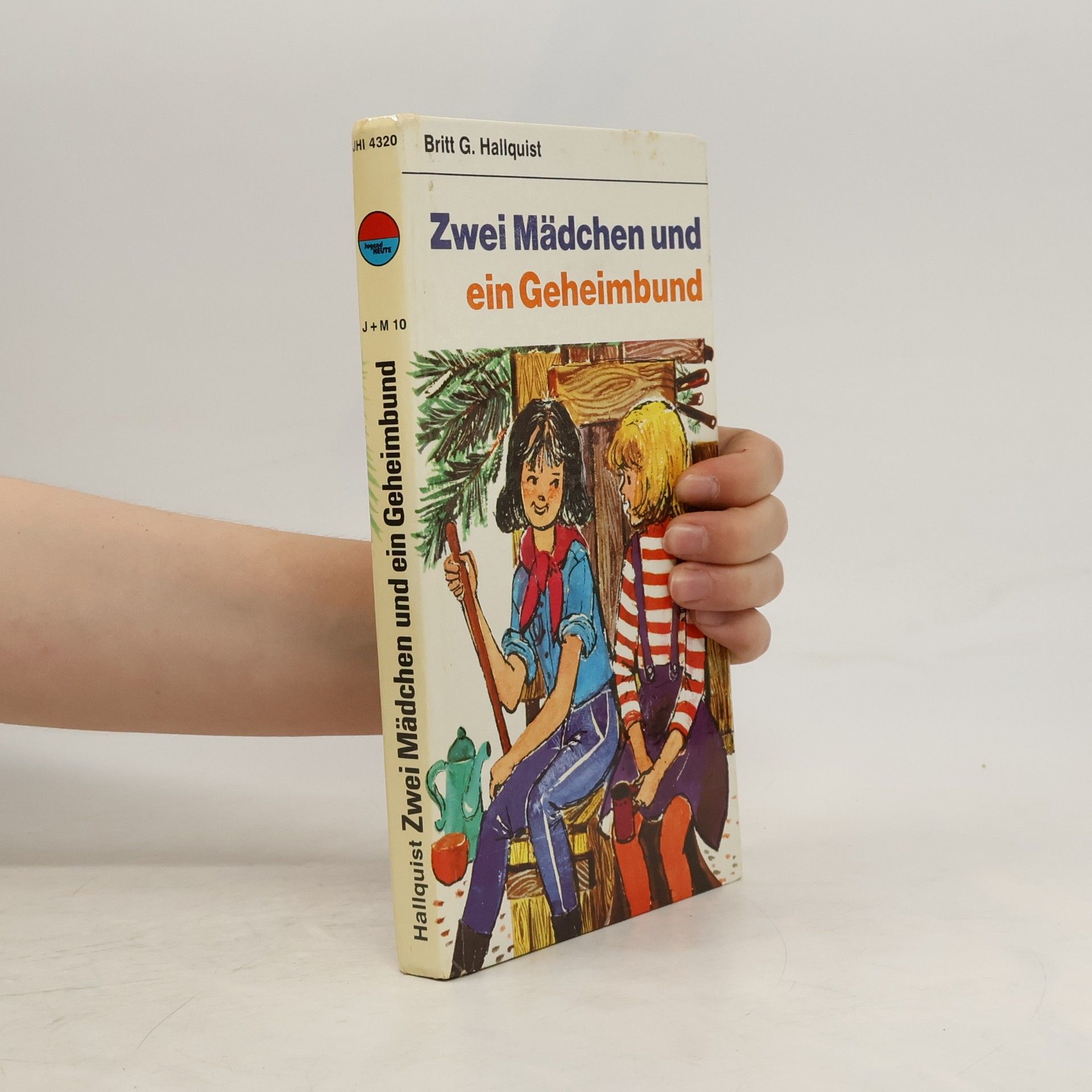 Britt G. Hallqvist Zwei Mädchen und ein Geheimbund