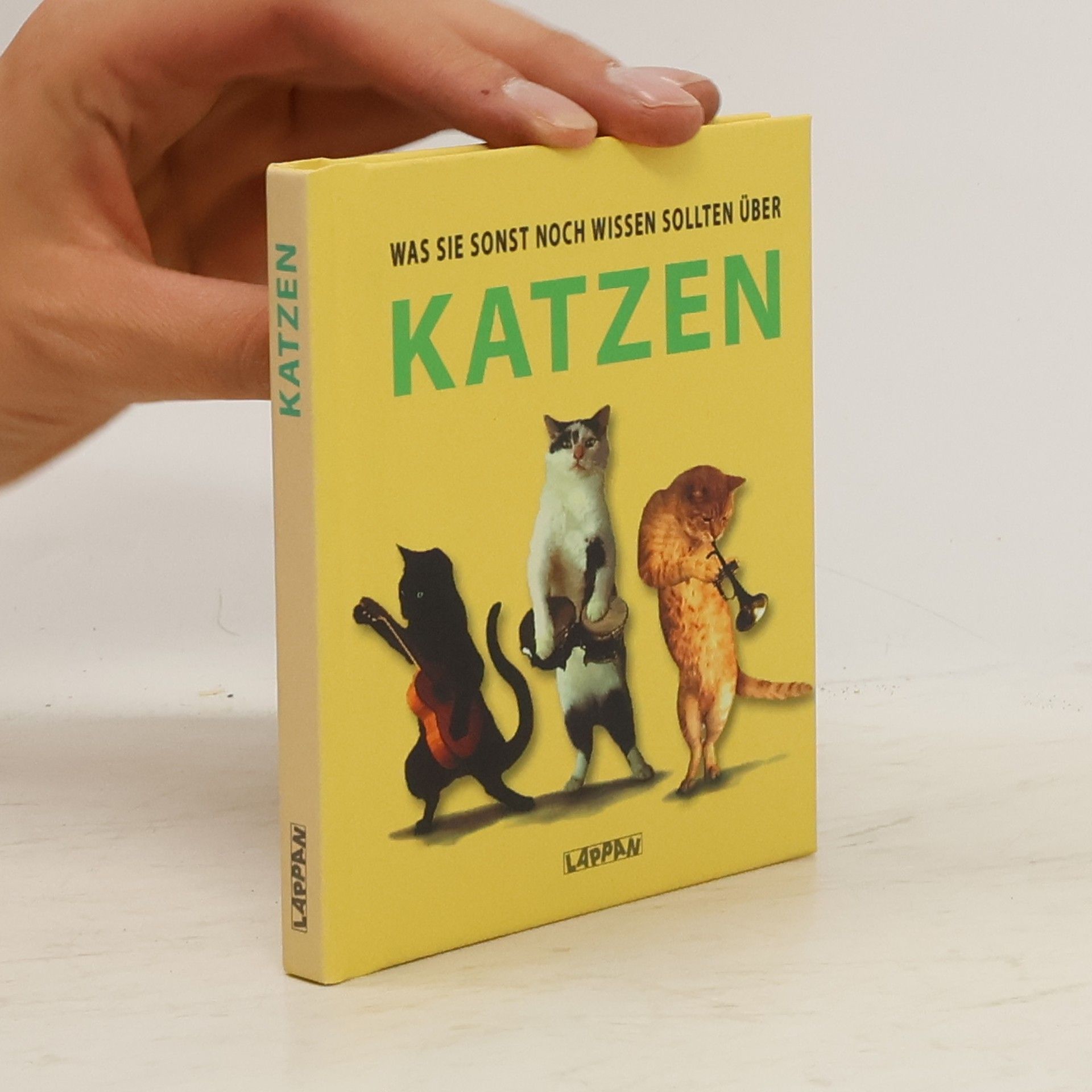 Autorenkollektiv Was sie sonst noch wissen sollten über Katzen