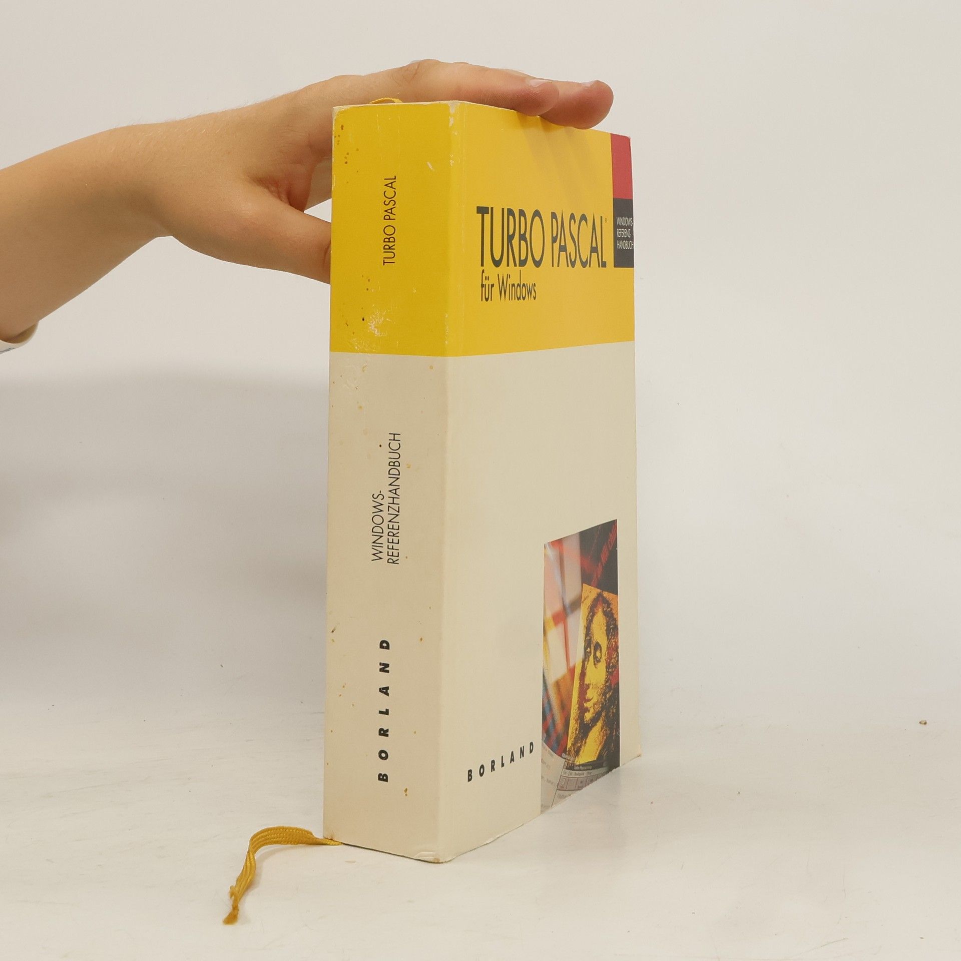 Autorenkollektiv Turbo Pascal für Windows