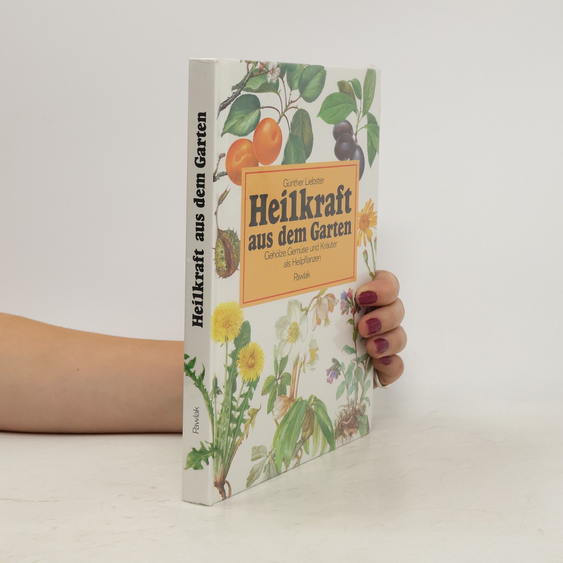 Günther Liebster Heilkraft aus dem Garten