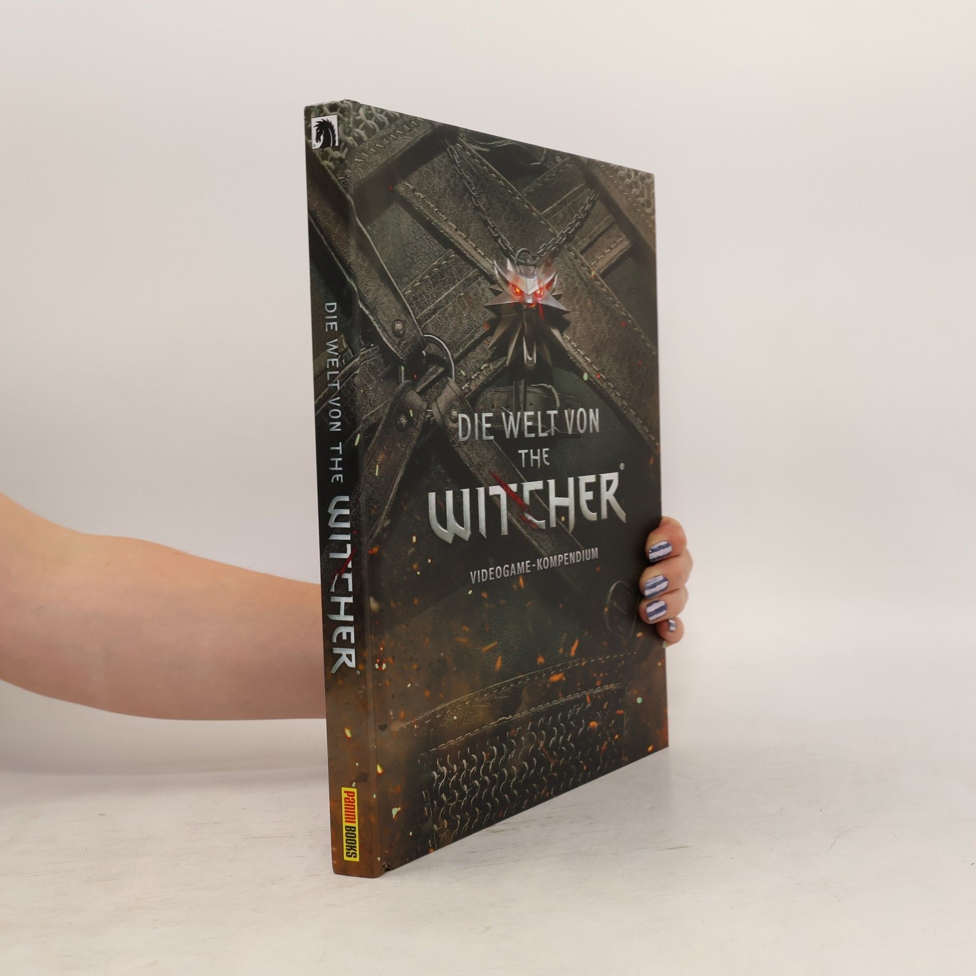 Andreas Kasprzak Die Welt von The Witcher