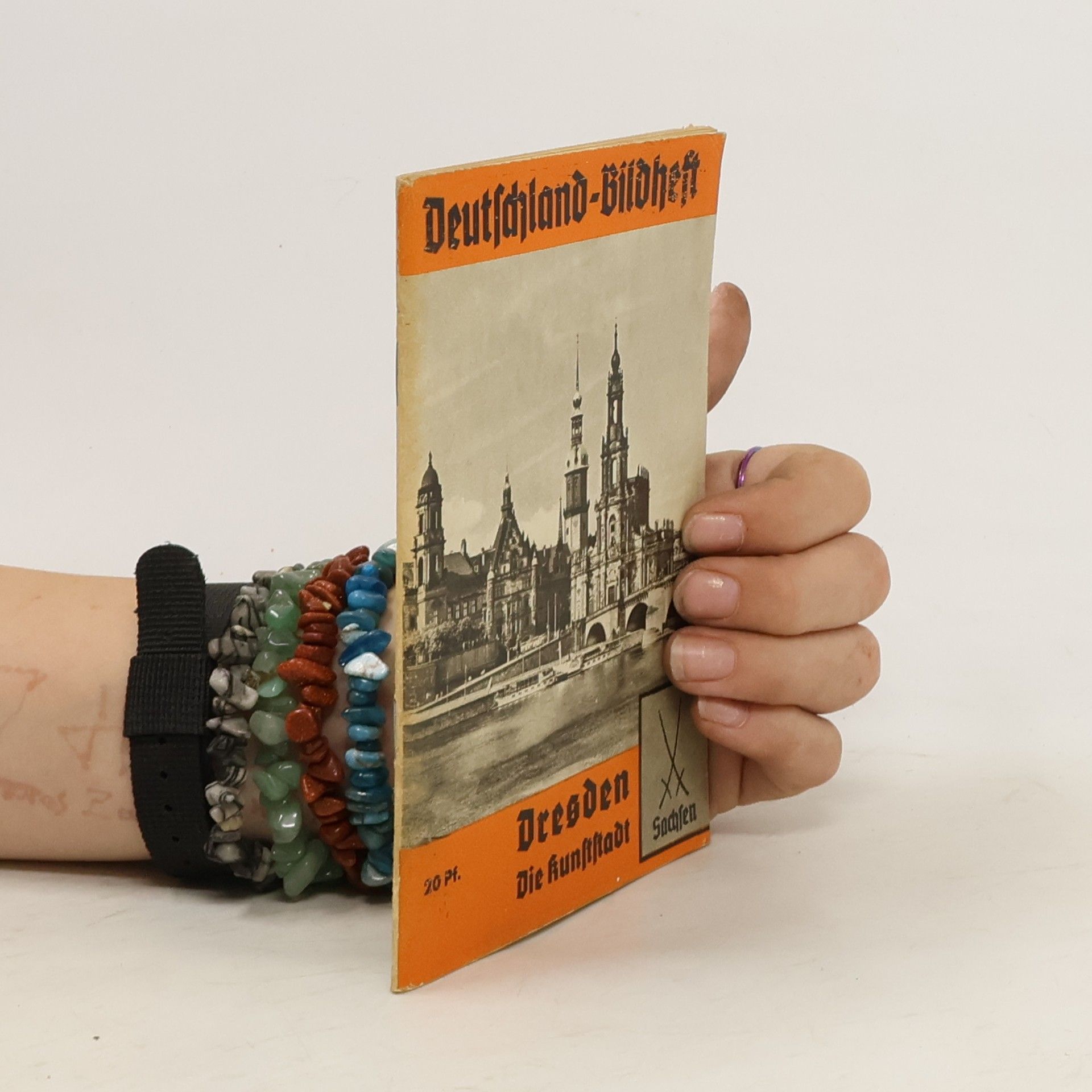 kolektiv Stadtrundfahrt mit der Straßenbahn durch Dresden