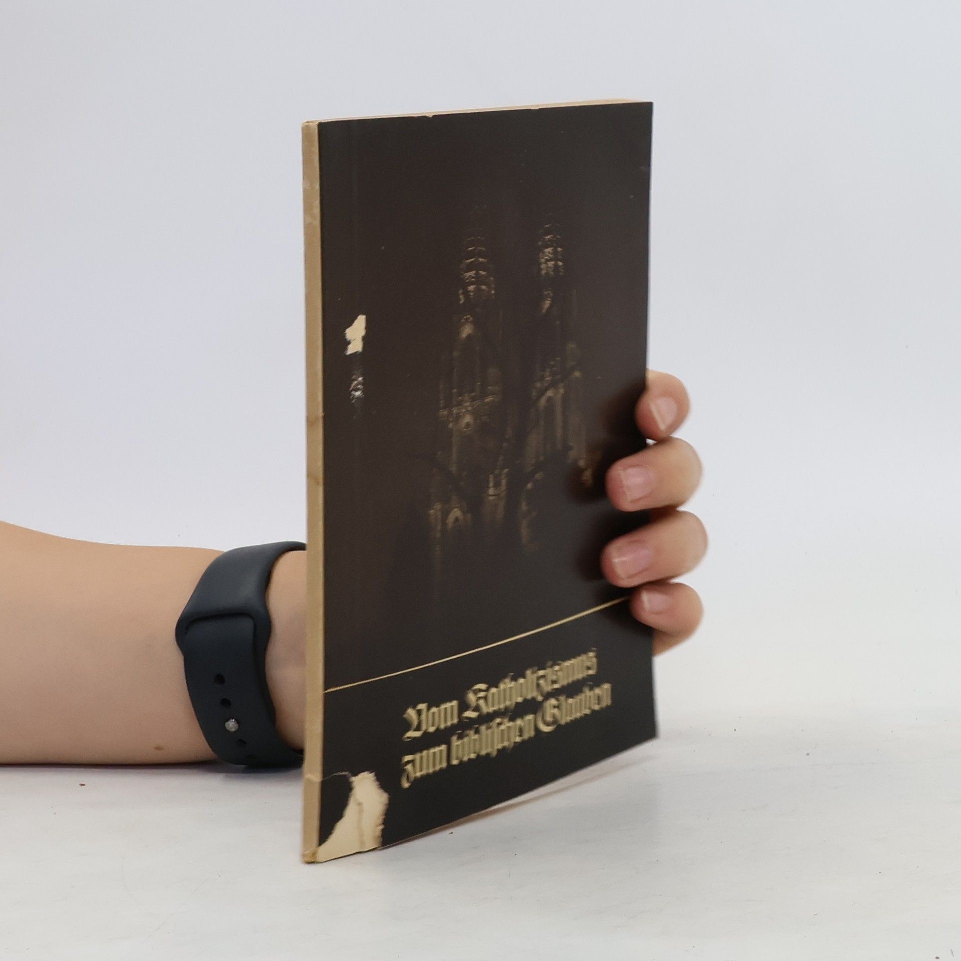Ludwig Vogel Katholizismus zum biblischen Glauben
