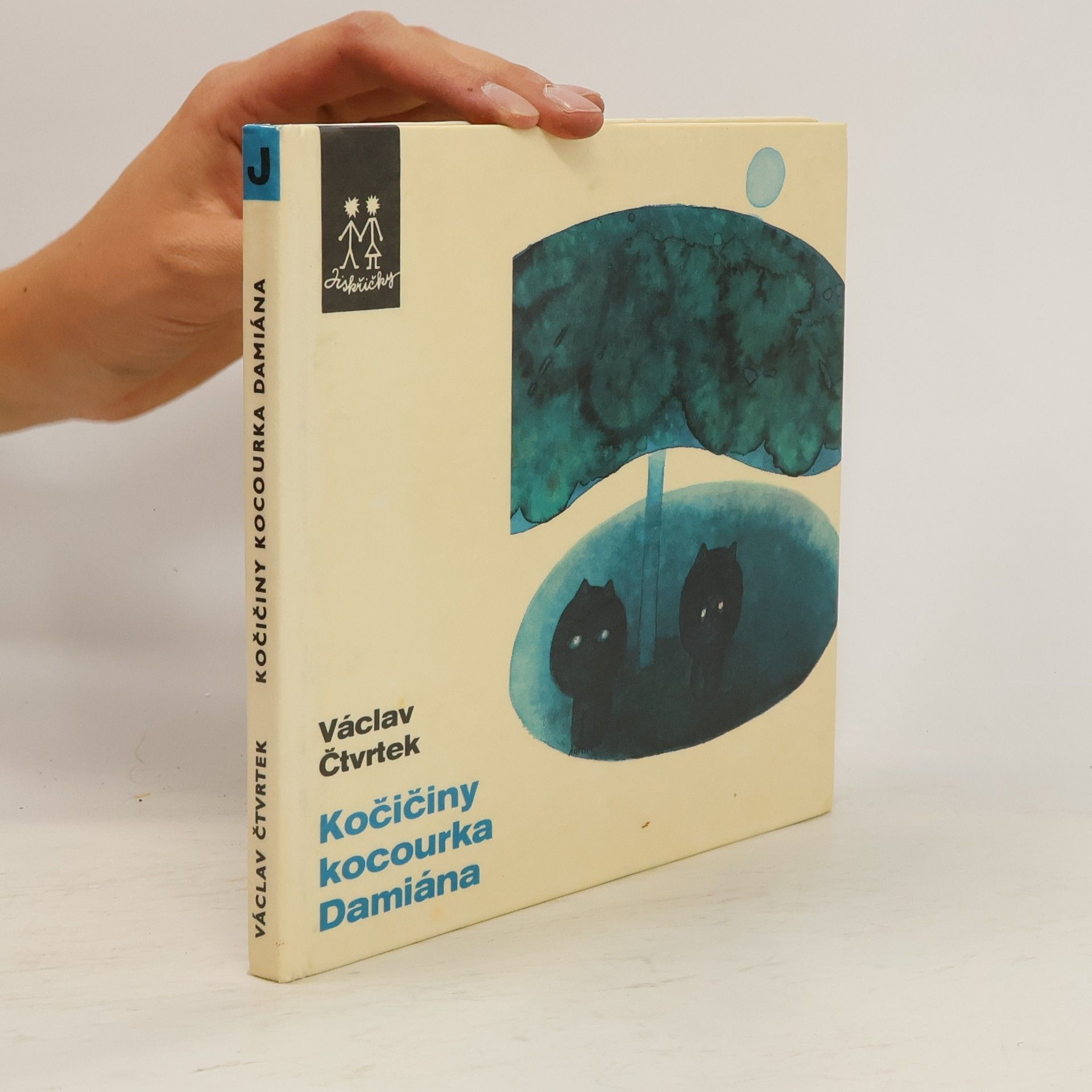 Kočičiny kocourka Damiána