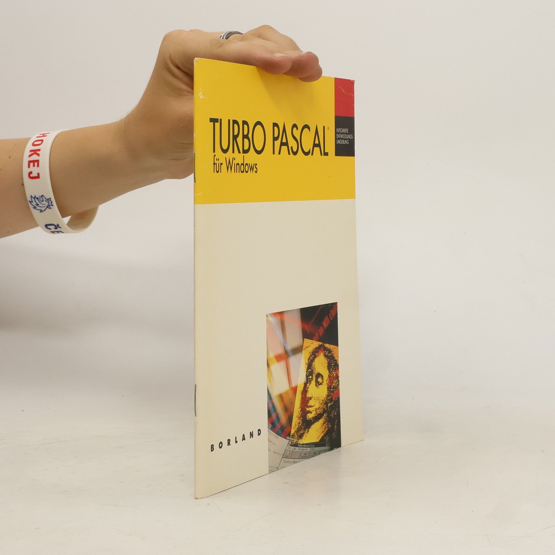 Autorenkollektiv Turbo Pascal für Windows