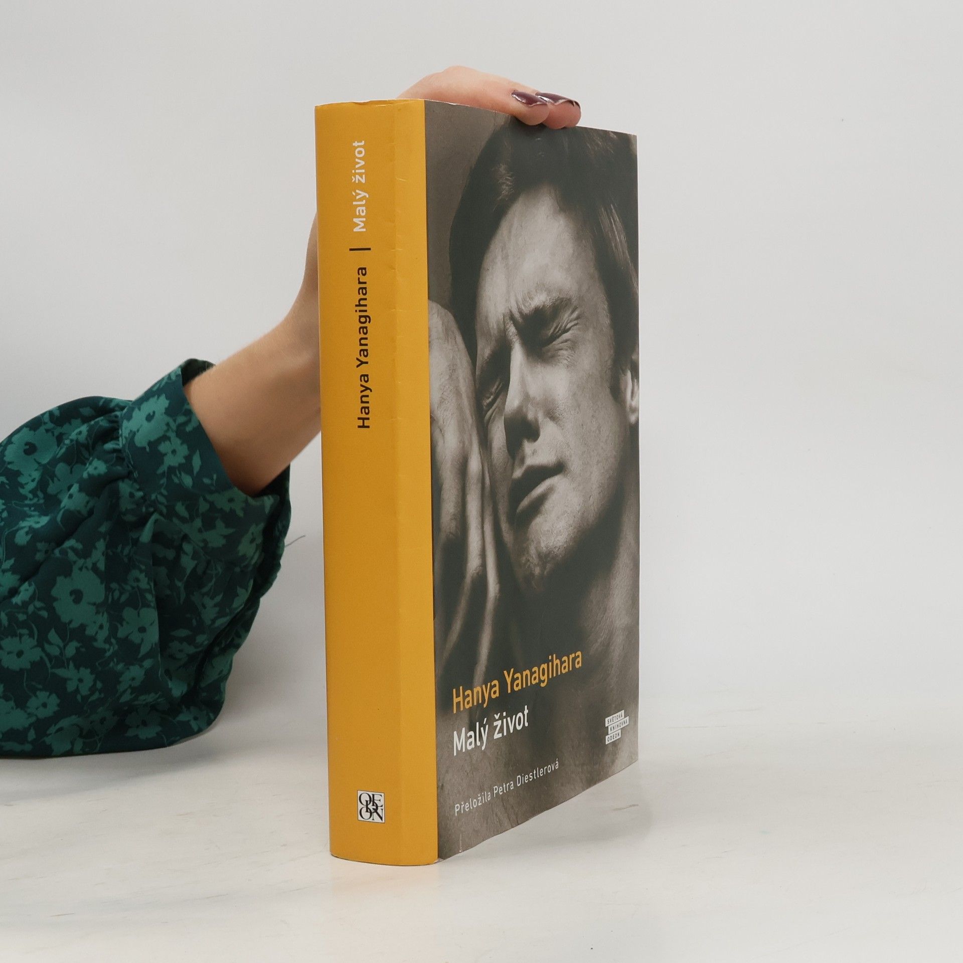 Hanya Yanagihara Malý život